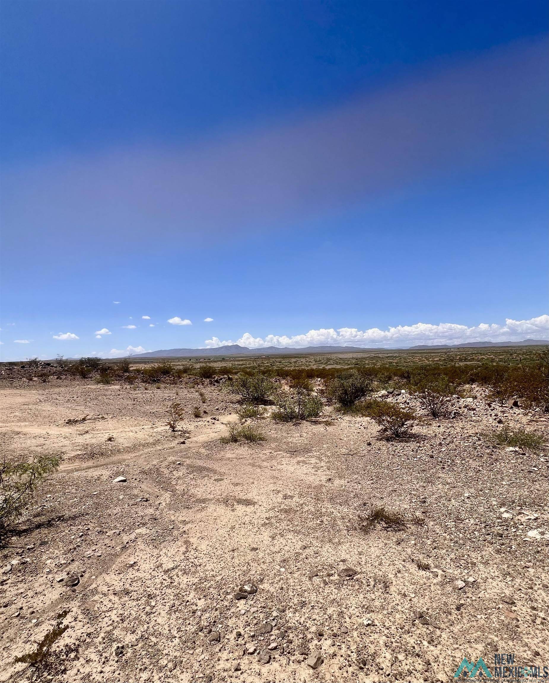 Cutter, NM 87901,90 CUTTER ROAD Road
