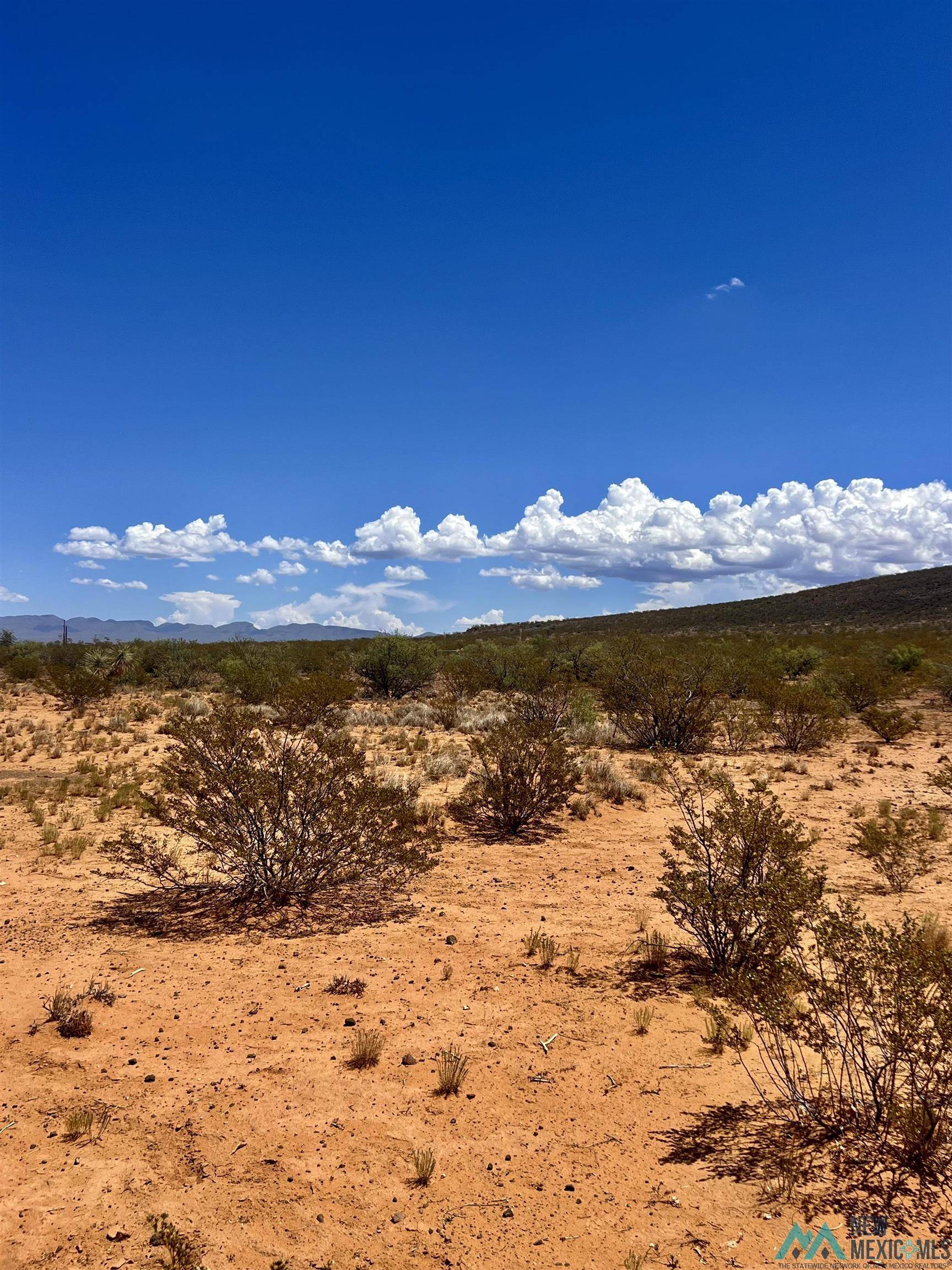 Cutter, NM 87901,90 CUTTER ROAD Road