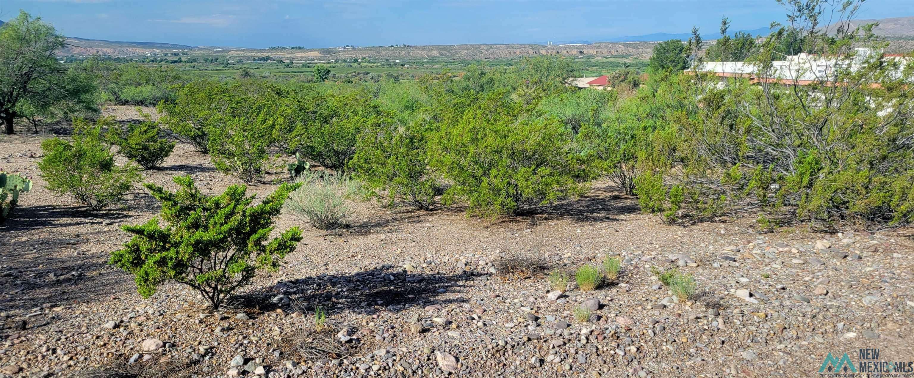 Elephant Butte, NM 87935,104 Whitworth Court