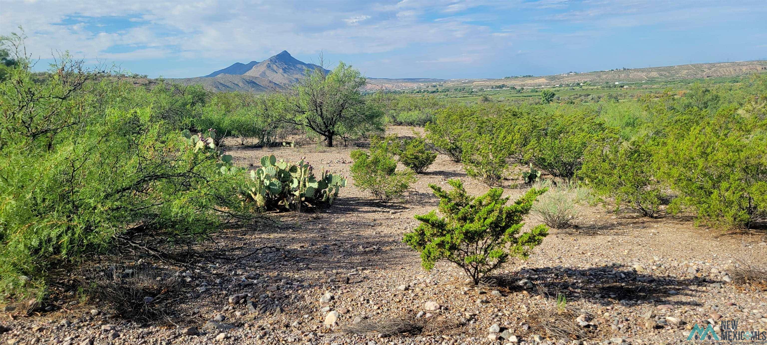 Elephant Butte, NM 87935,104 Whitworth Court