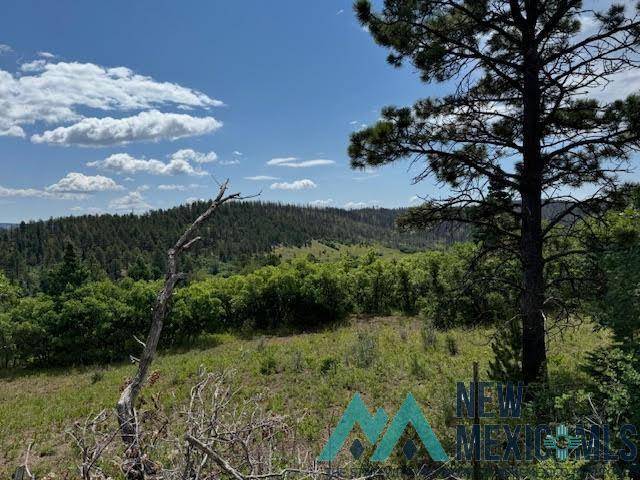 Holman, NM 87723,Tract 1 La Sierra Road
