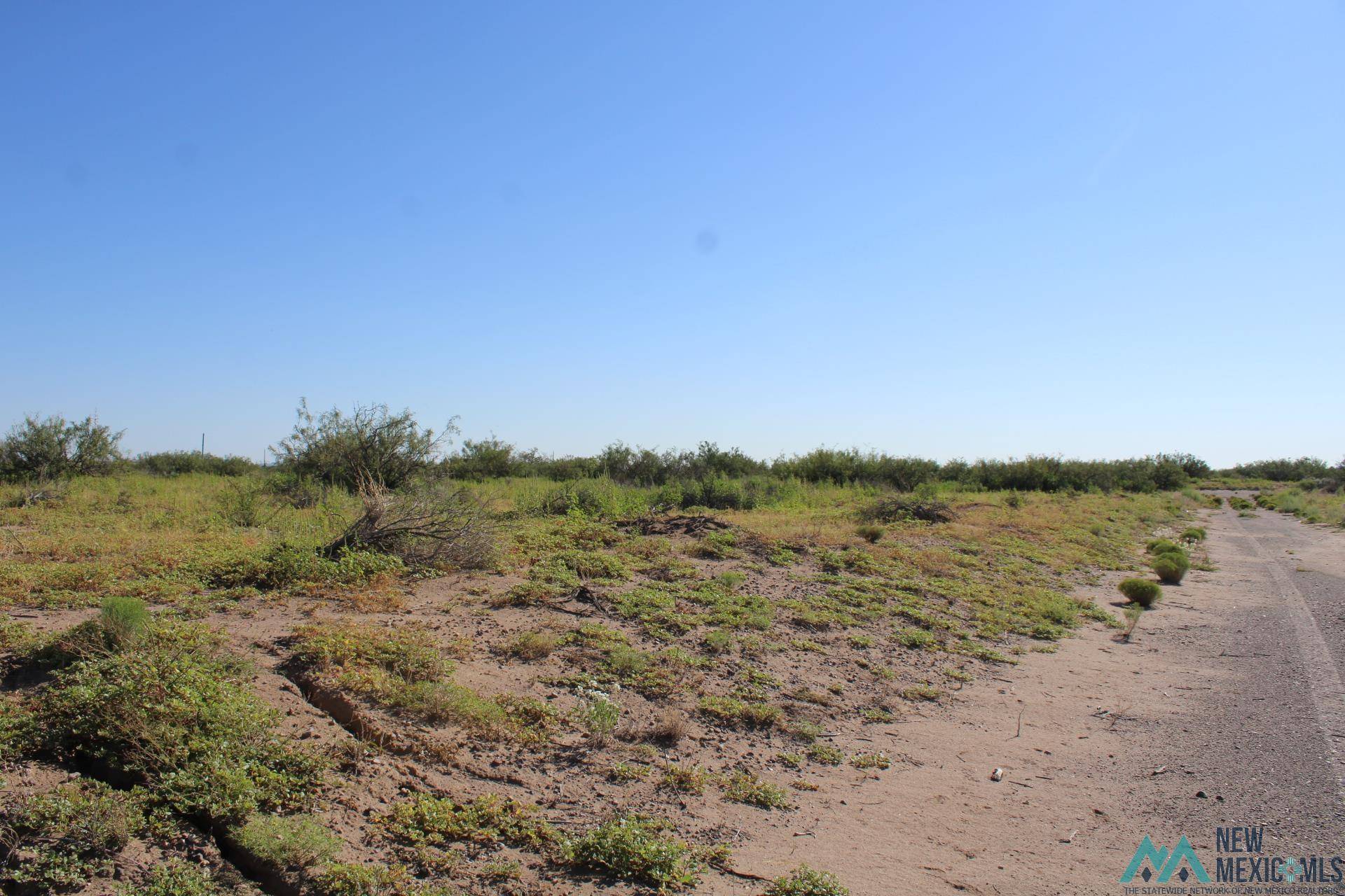 Deming, NM 88030,Camilo Rd SW