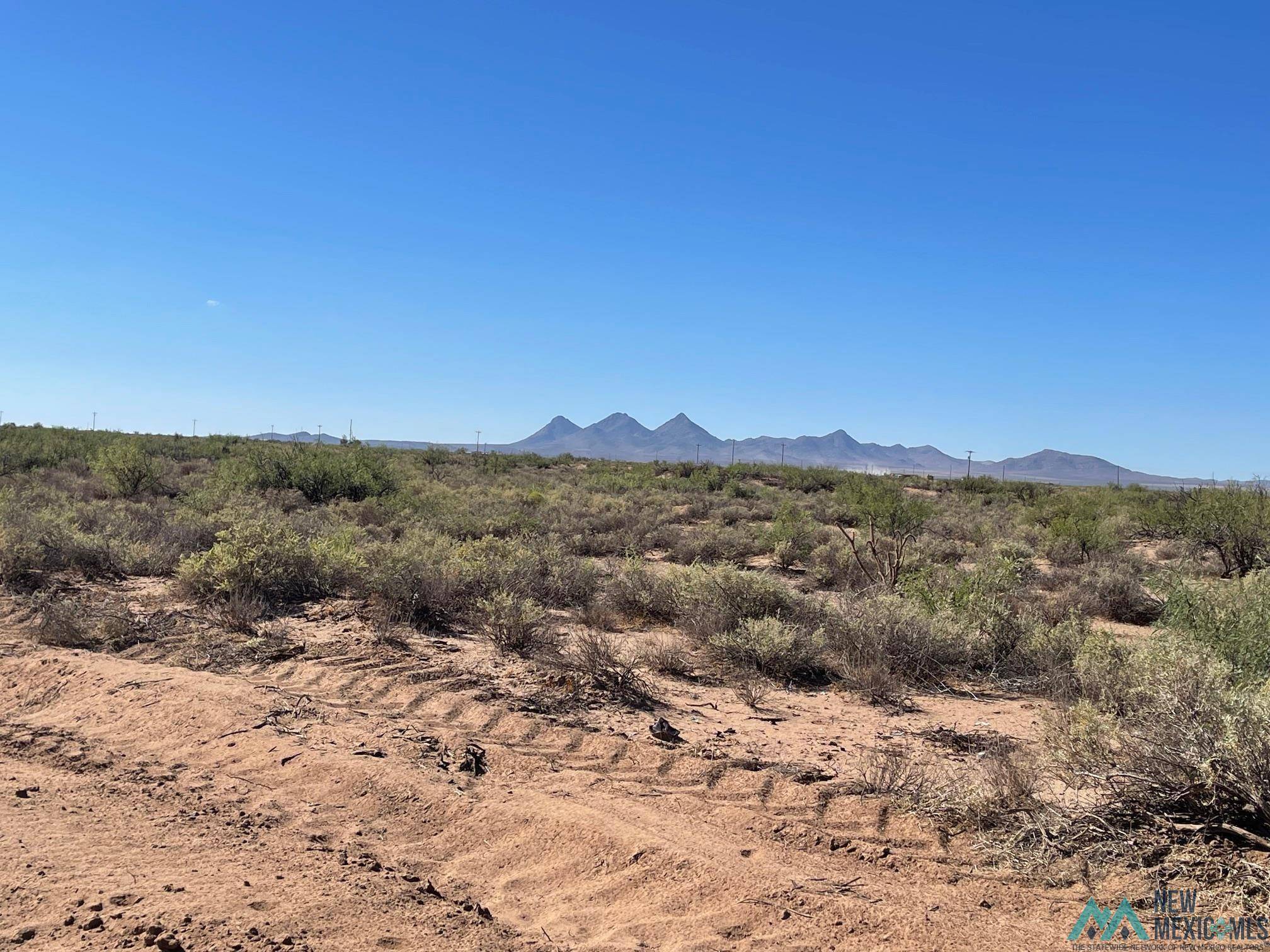 Deming, NM 88030,XXXX Uraguay Rd