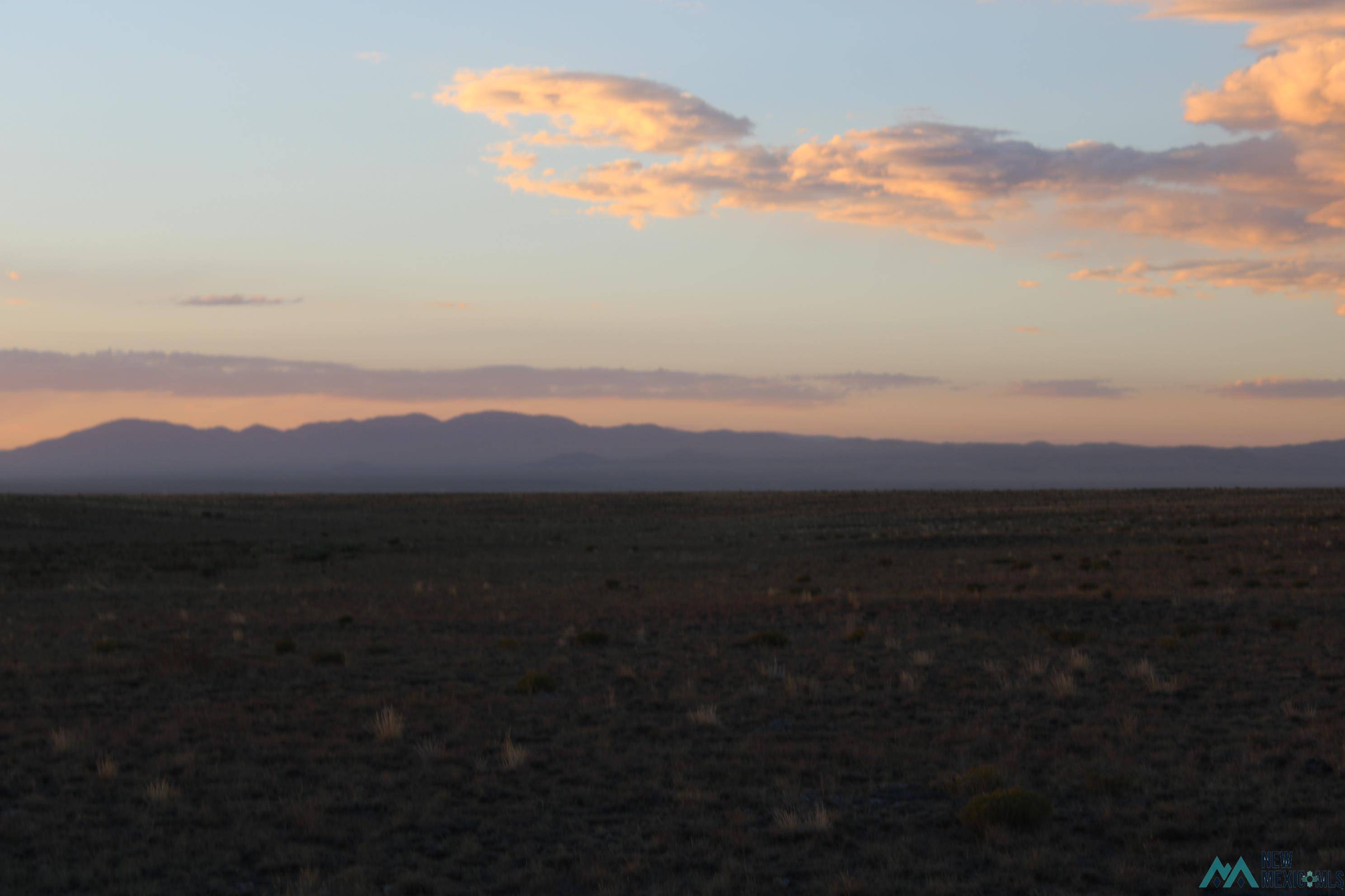 Magdalena, NM 87825,Wheeler Place Guin Ranch Road #County Road AO99