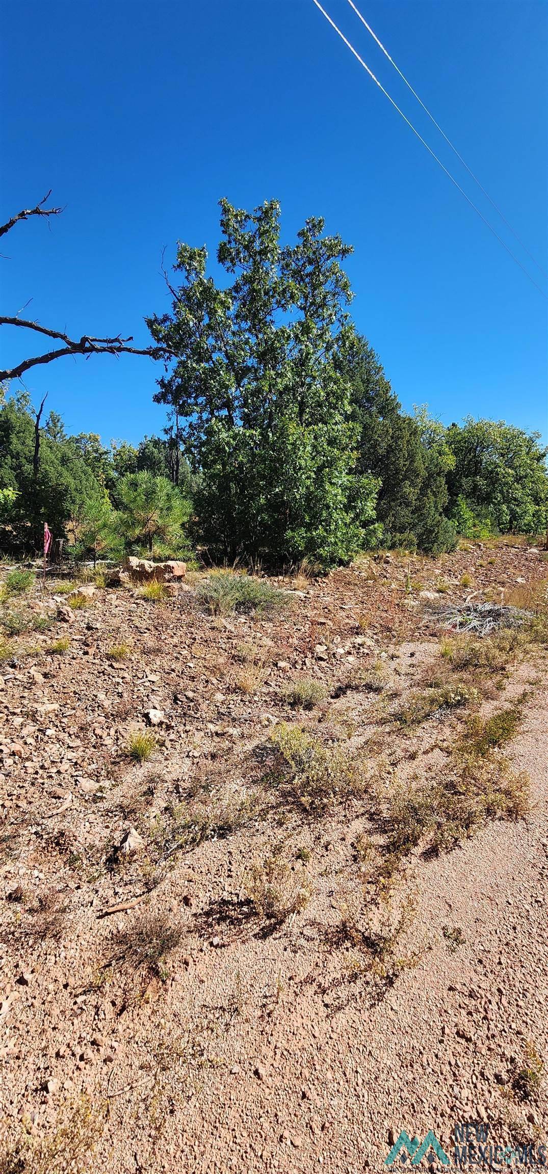 Mcgaffey, NM 87316,15 Tampico Springs Road