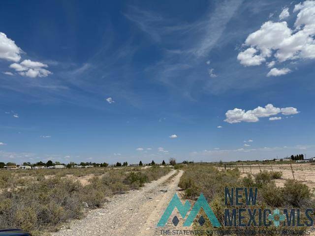 Artesia, NM 88210-0000,S of 15 Gary Dr. Street