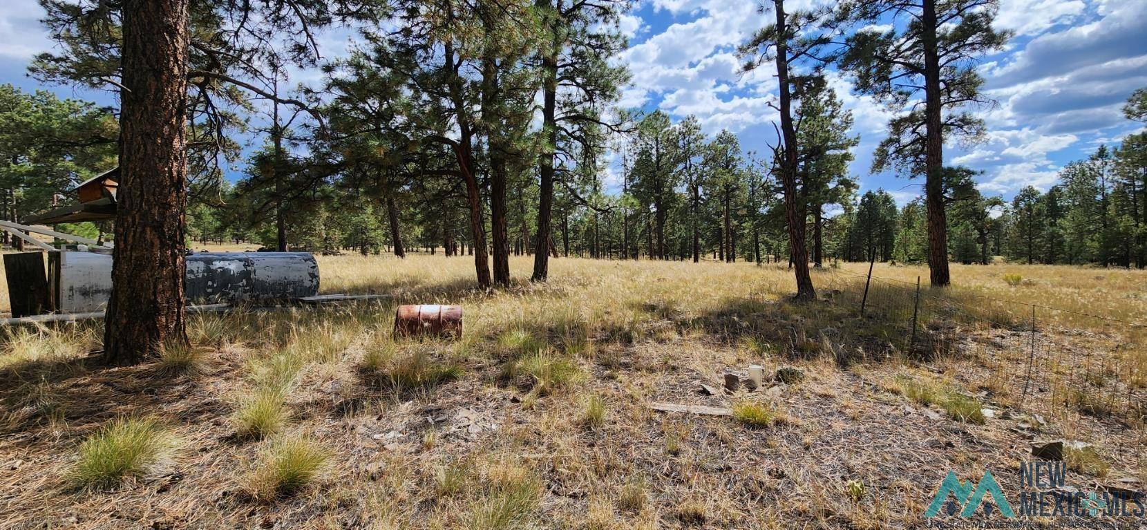 Grants, NM 87020,88 Fumarole Road