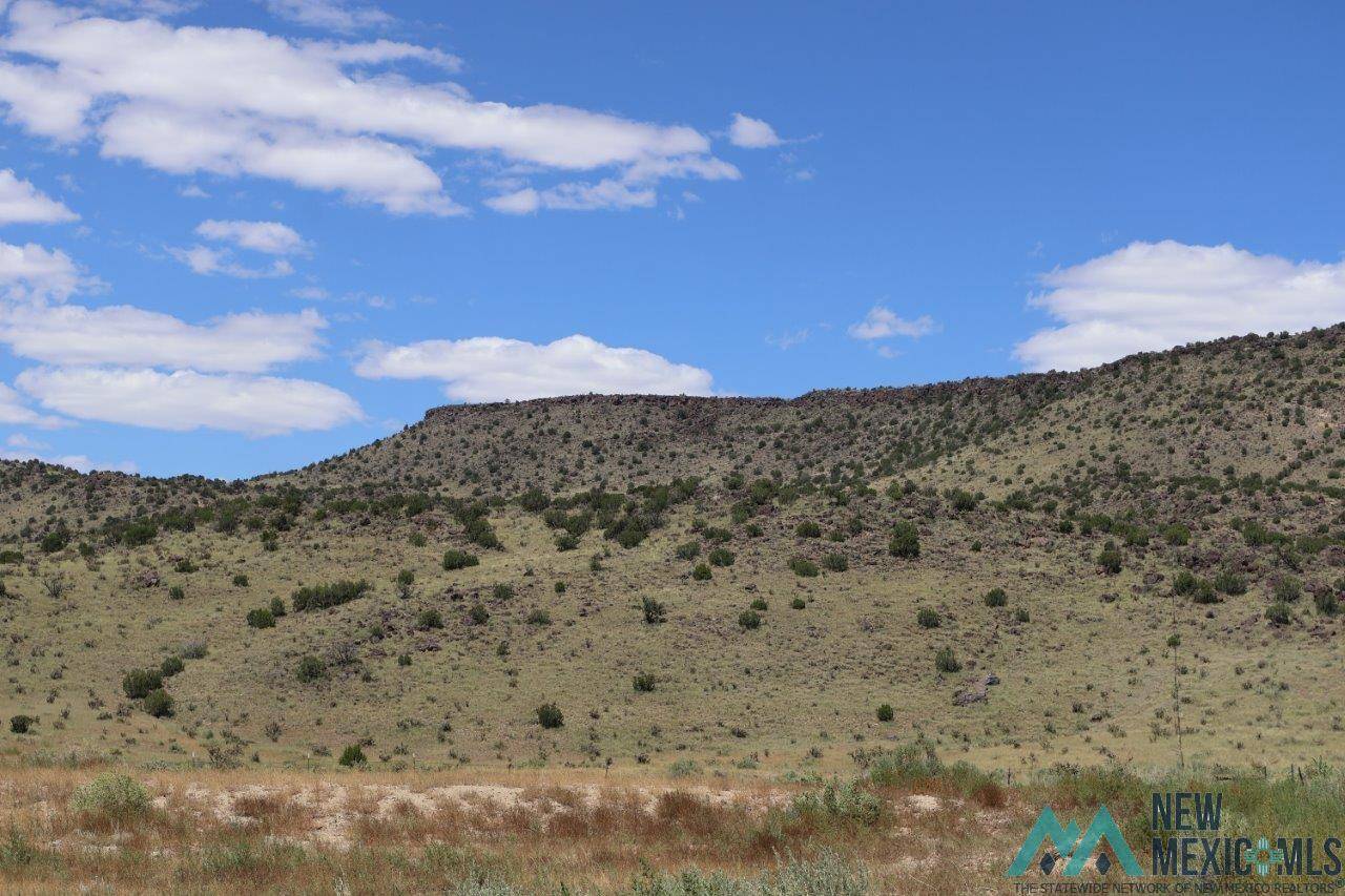 Grants, NM 87020,TBD Lobo Canyon Road