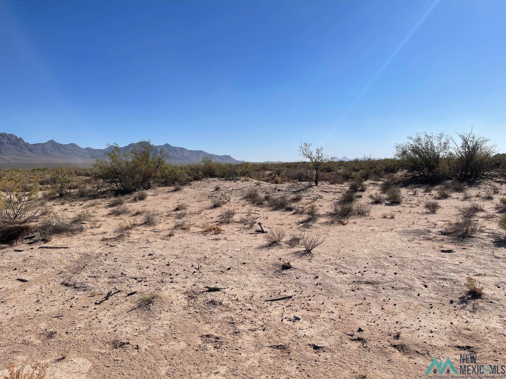 Deming, NM 88030,XXXX San Pedro Rd SE #XXXX San Joaquin Rd SE