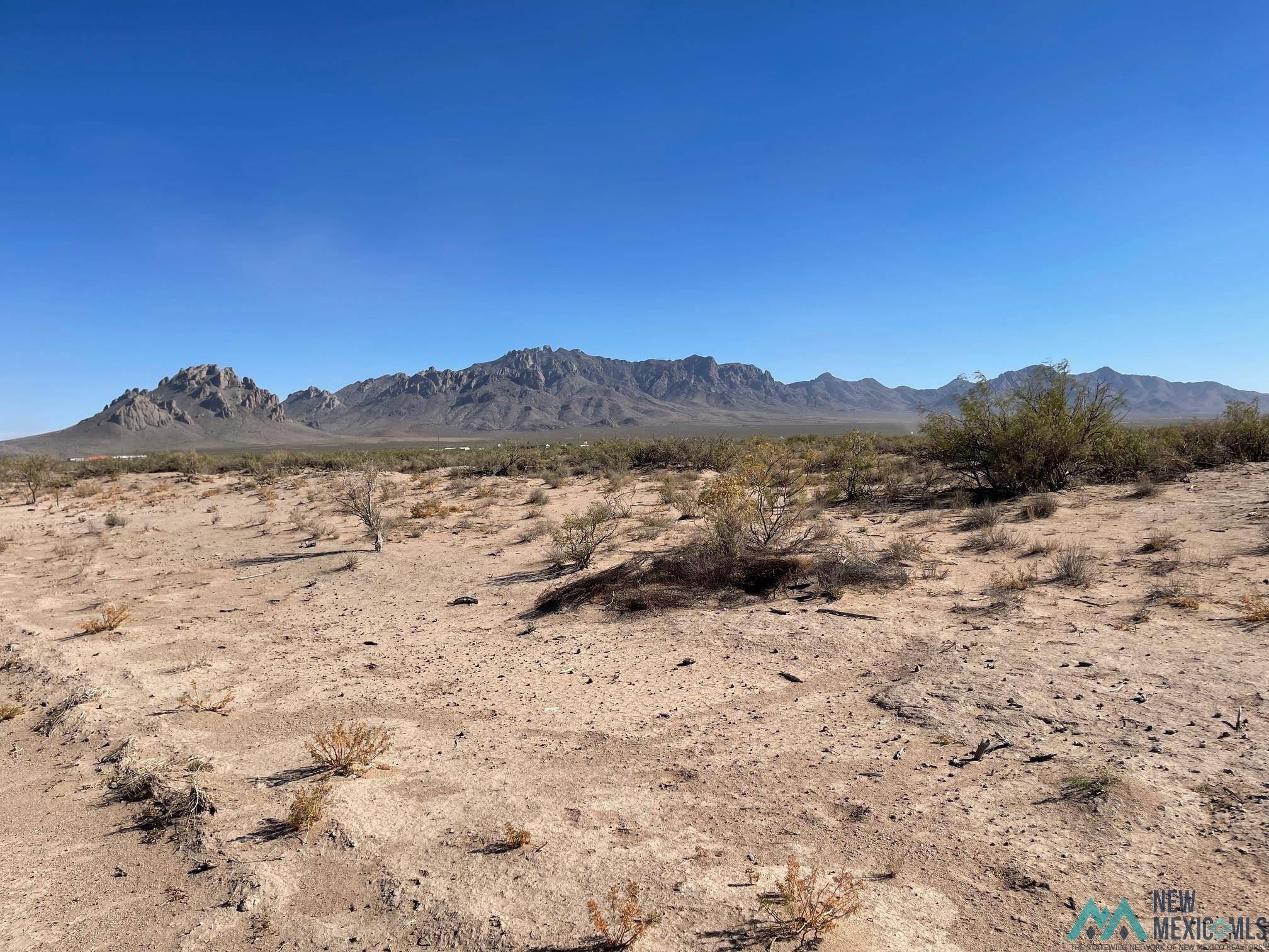 Deming, NM 88030,XXXX San Joaquin Rd SE #XXXX San Pedro Rd SE