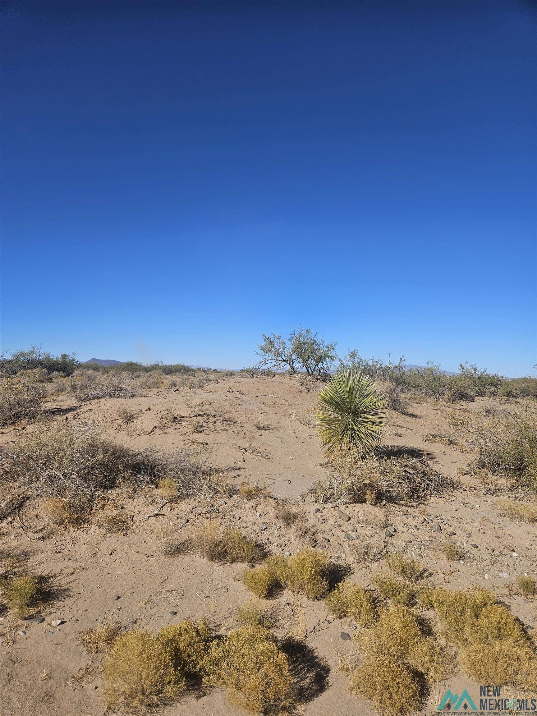 Deming, NM 88030,XXX NE Rose Dr NE