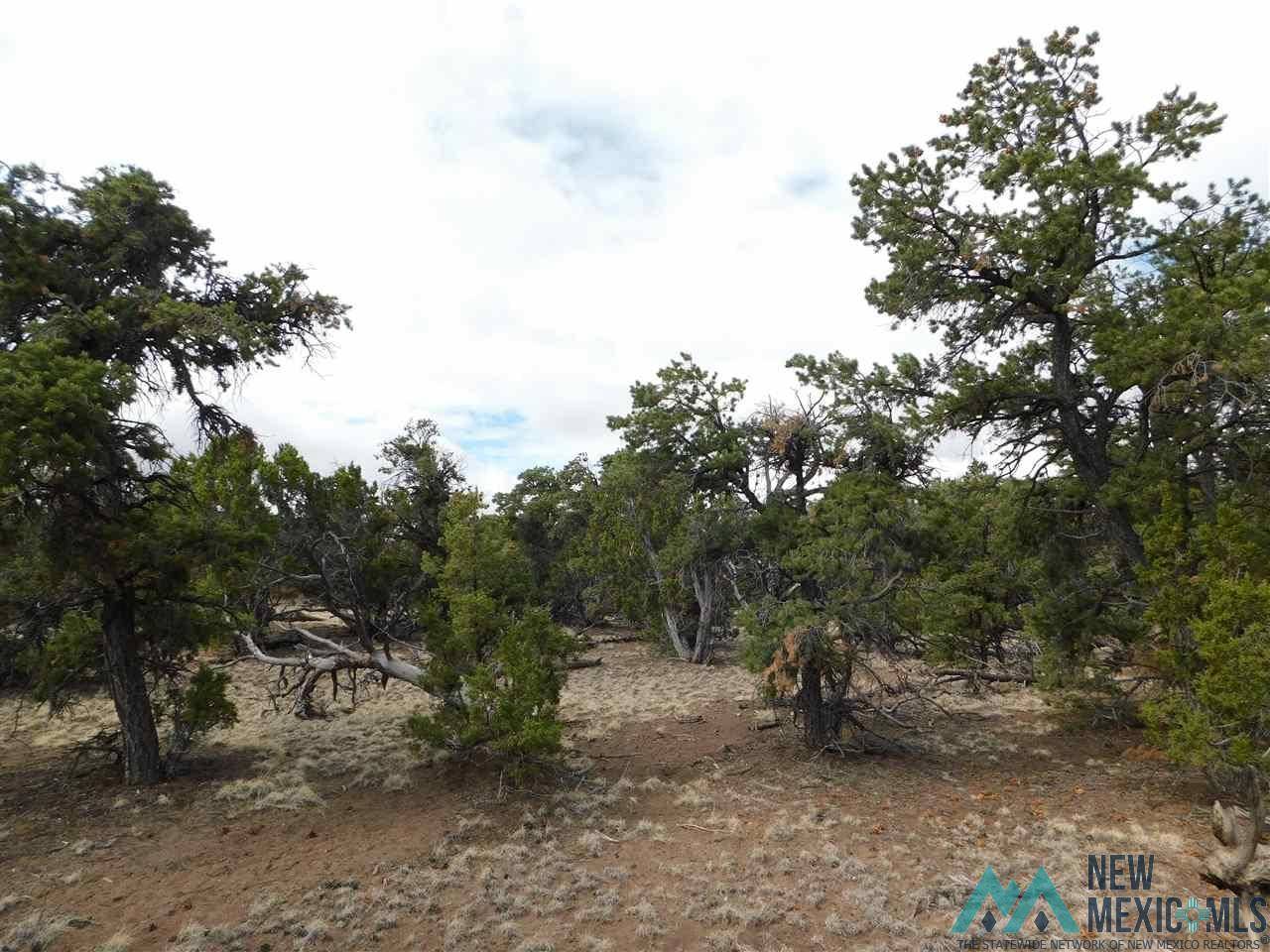Quemado, NM 87829,174 AGUA FRIA Loop #LOT 138 SPRING CANYON RANCH