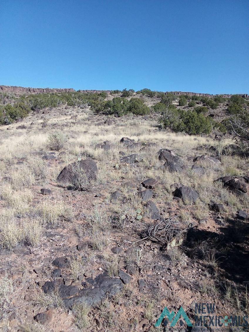 Grants, NM 87020,TBD Enchanted Mesa Trail