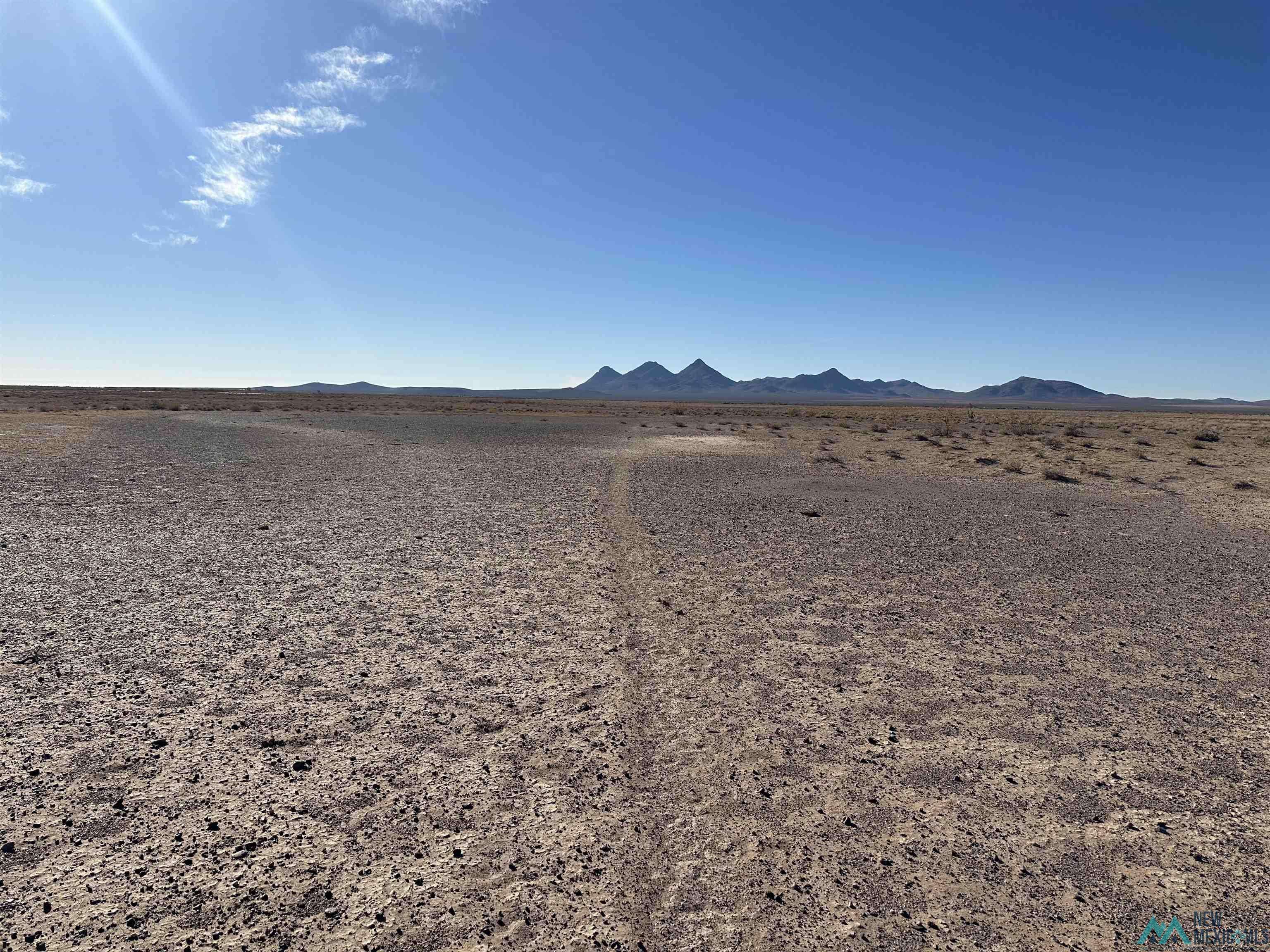 Deming, NM 88030,XXXX Avencia RD SE