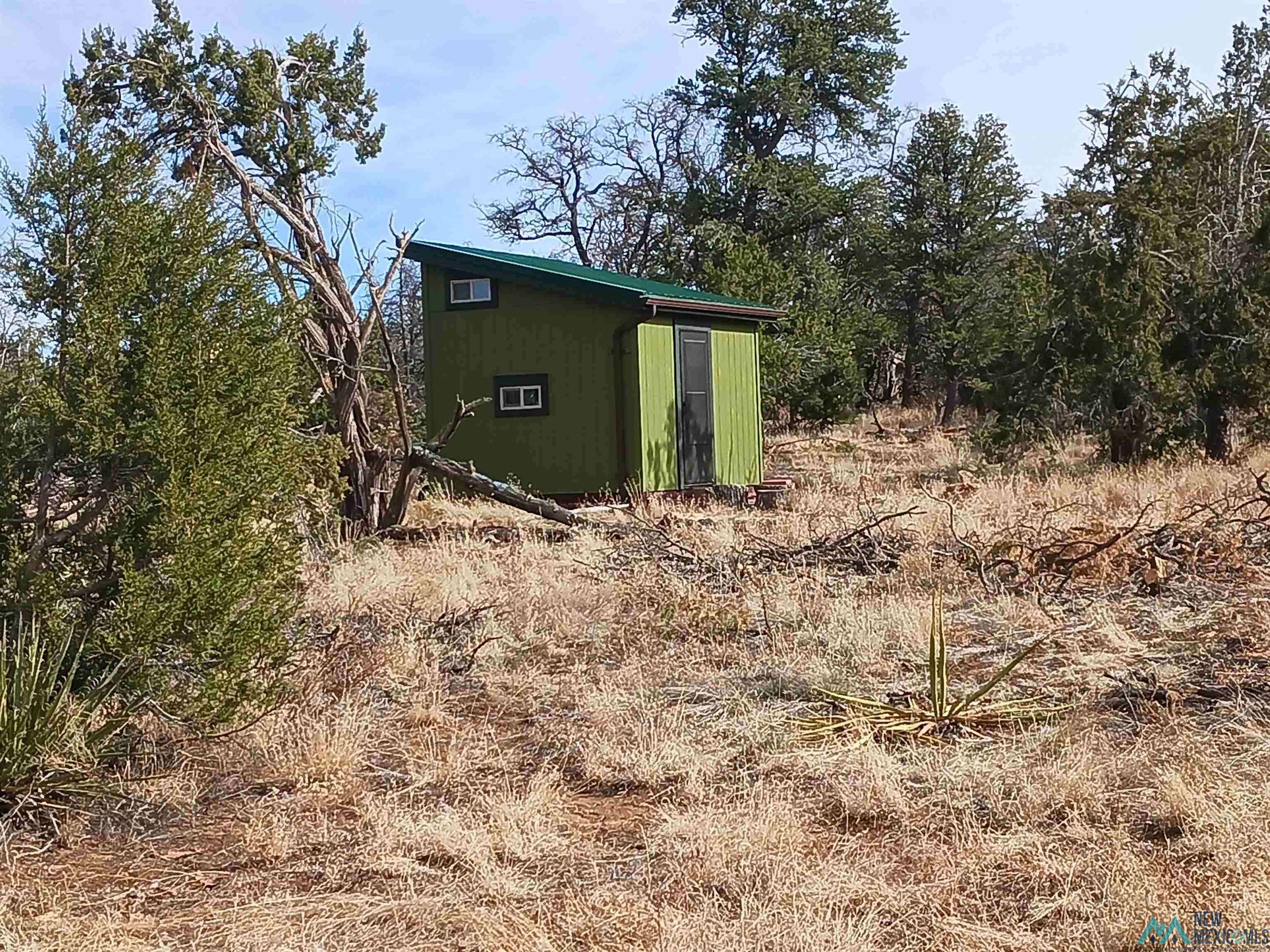 Ramah, NM 87357,291 Pine Meadows Drive