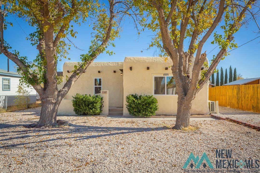 Artesia, NM 88210-2825,1107 S Roselawn Avenue