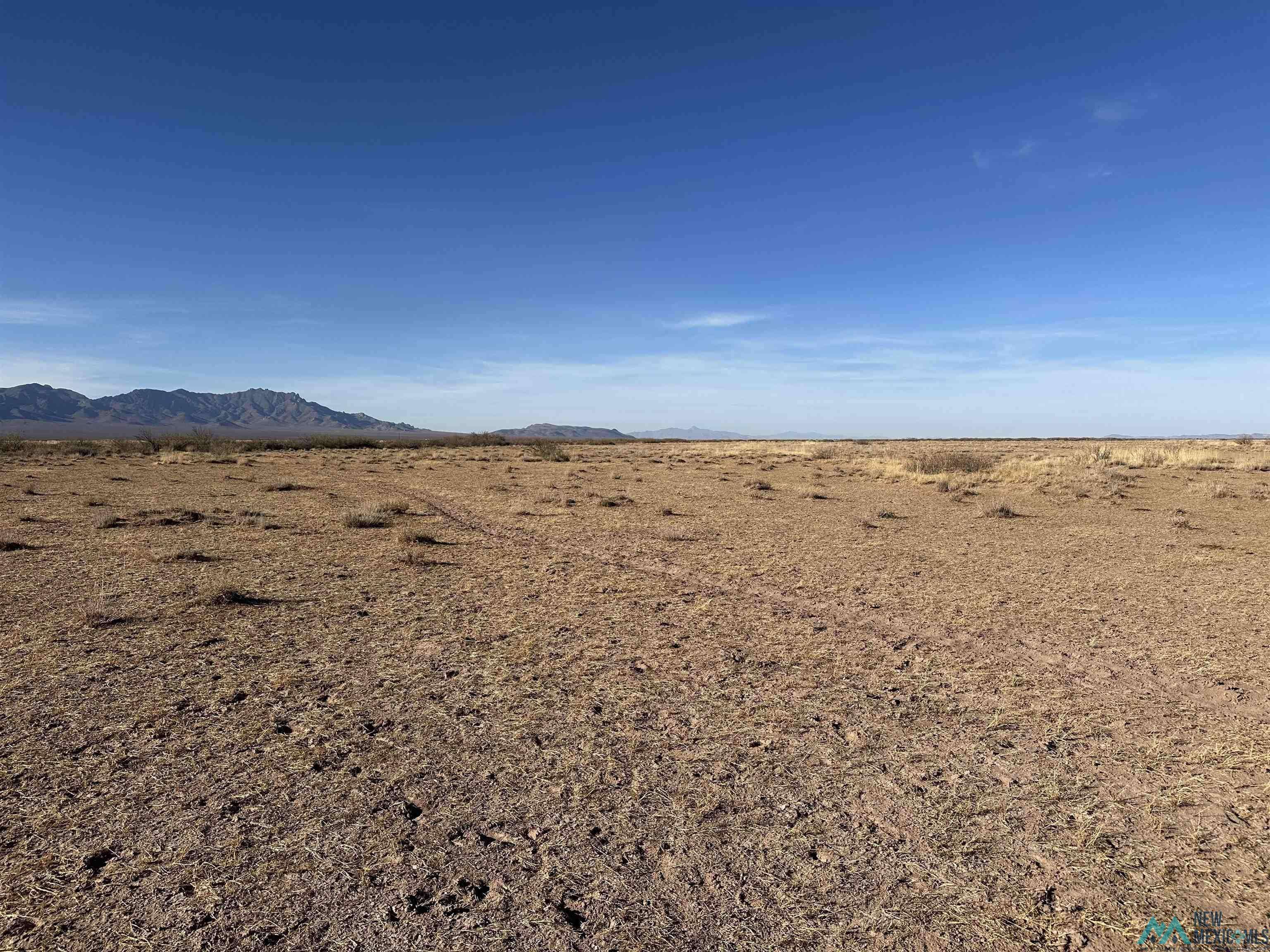 Deming, NM 88030,XXXX Avenura RD SE