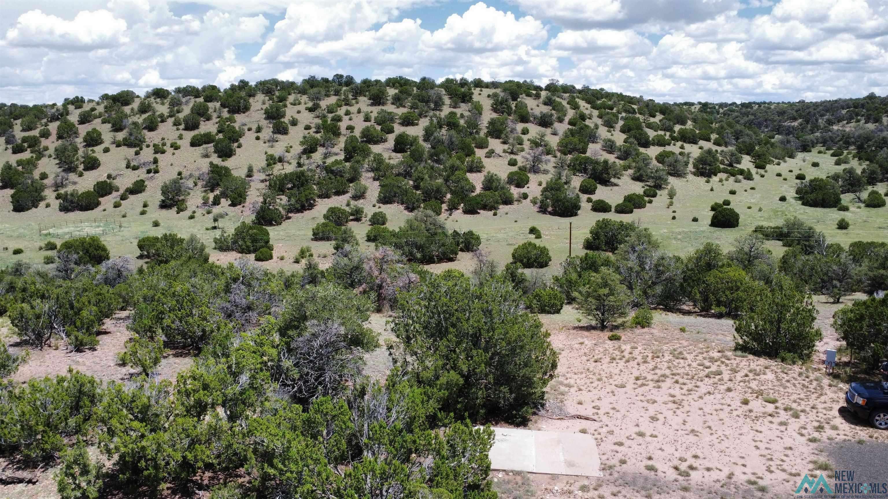 Quemado, NM 87829,Lot 46 Cimarron Drive