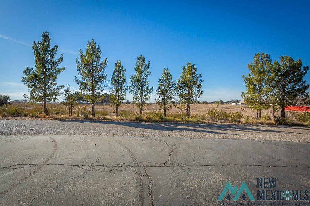 Artesia, NM 88210,16 Century Road