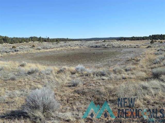 Candy Kitchen, NM 87321,TBD SIERRA DE MANANA Drive