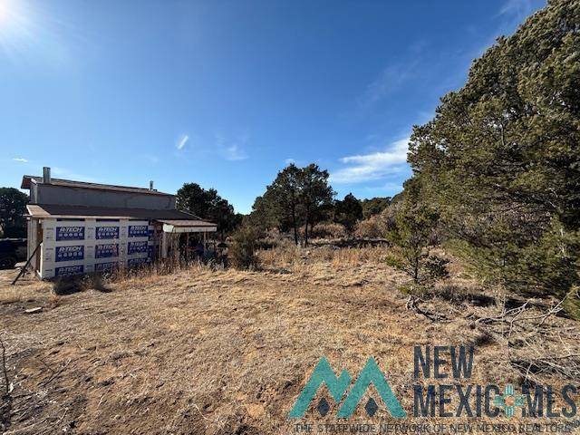 Raton, NM 87740,17 Allen's Alley Road