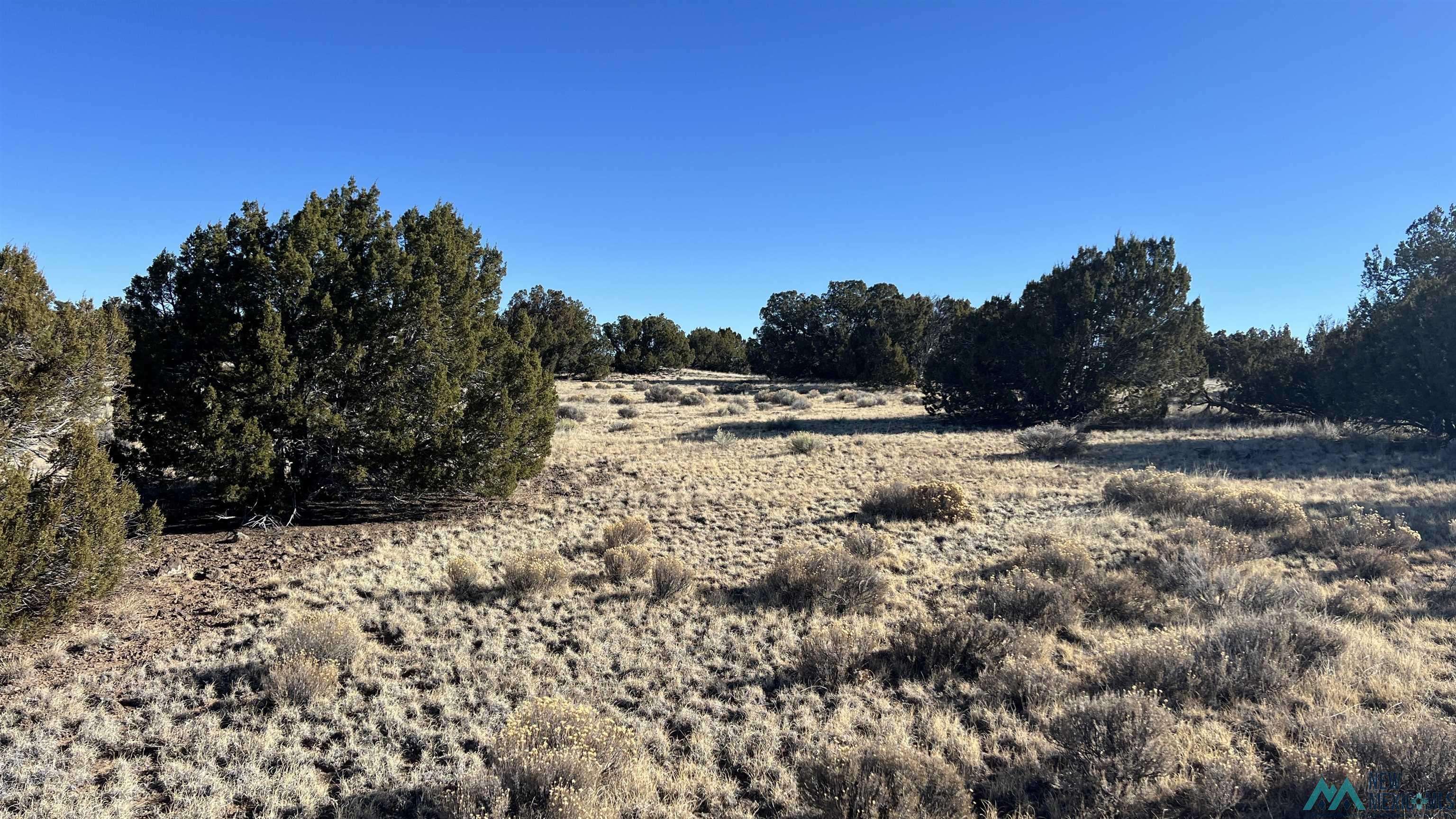 Fence Lake, NM 87315,1692 NM-Highway 36 Highway #Fence Lake Ranches