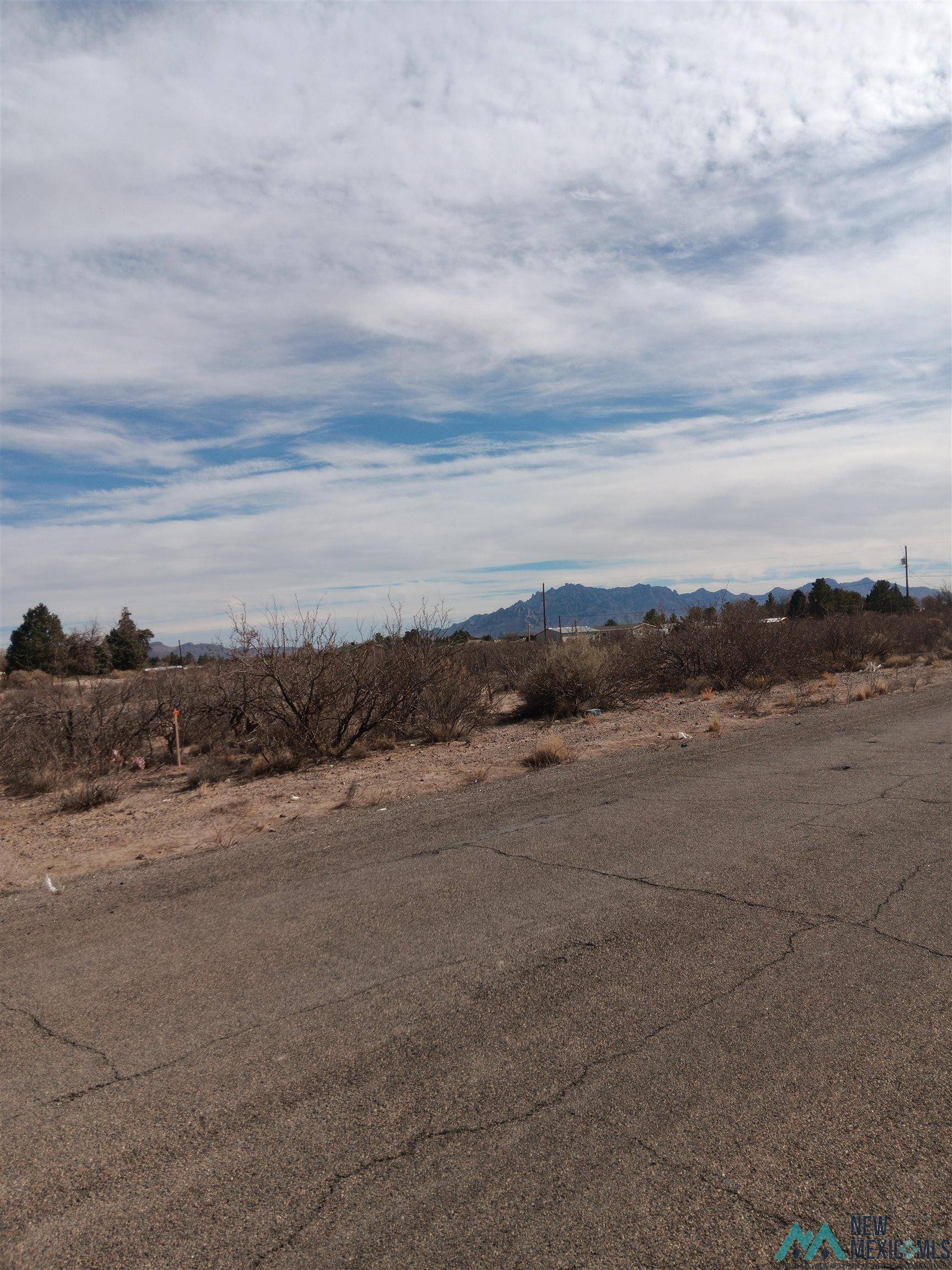 Deming, NM 88030,00 S Saddler St Street #tract 2