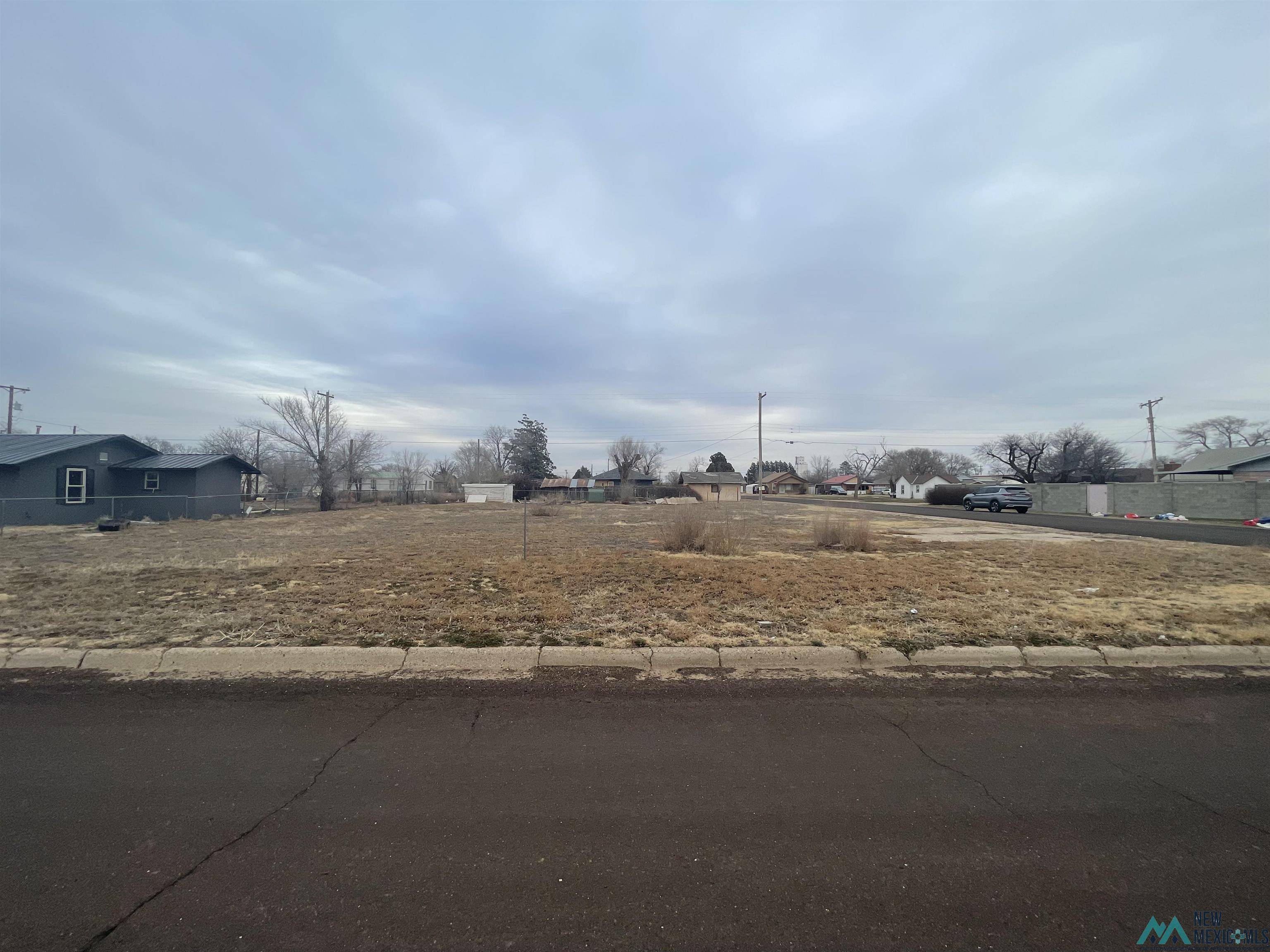 Texico, NM 88135,309 Hutson Avenue
