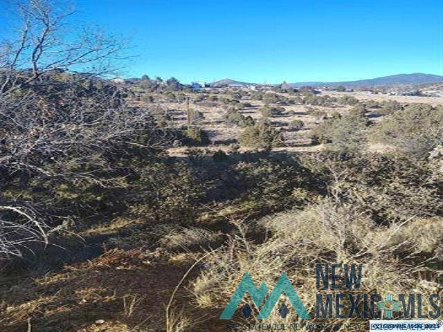 Silver City, NM 88061,xx Hill Street