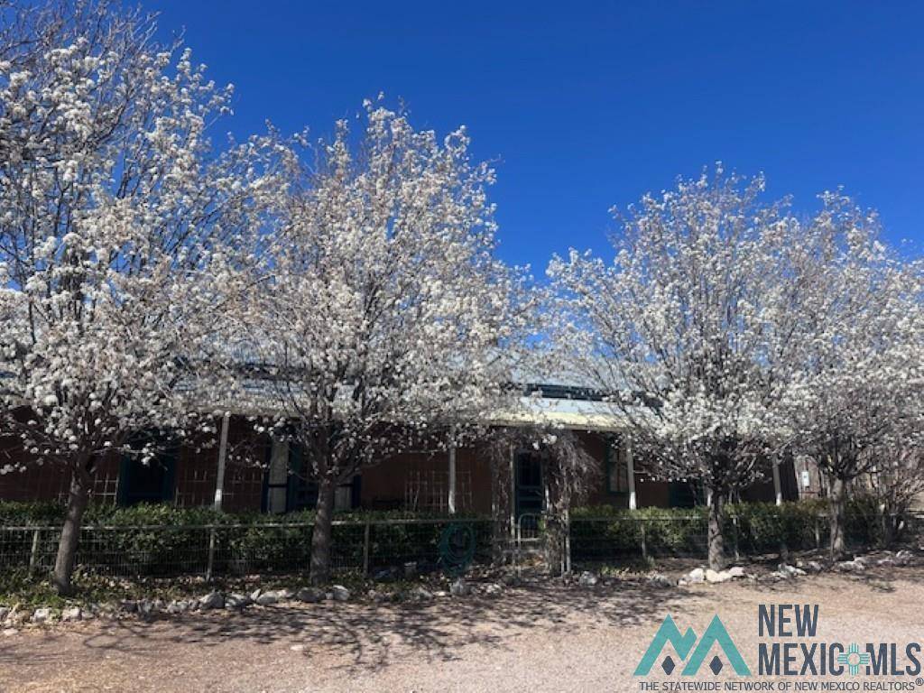 Monticello, NM 87939,24 Plaza De Monticello