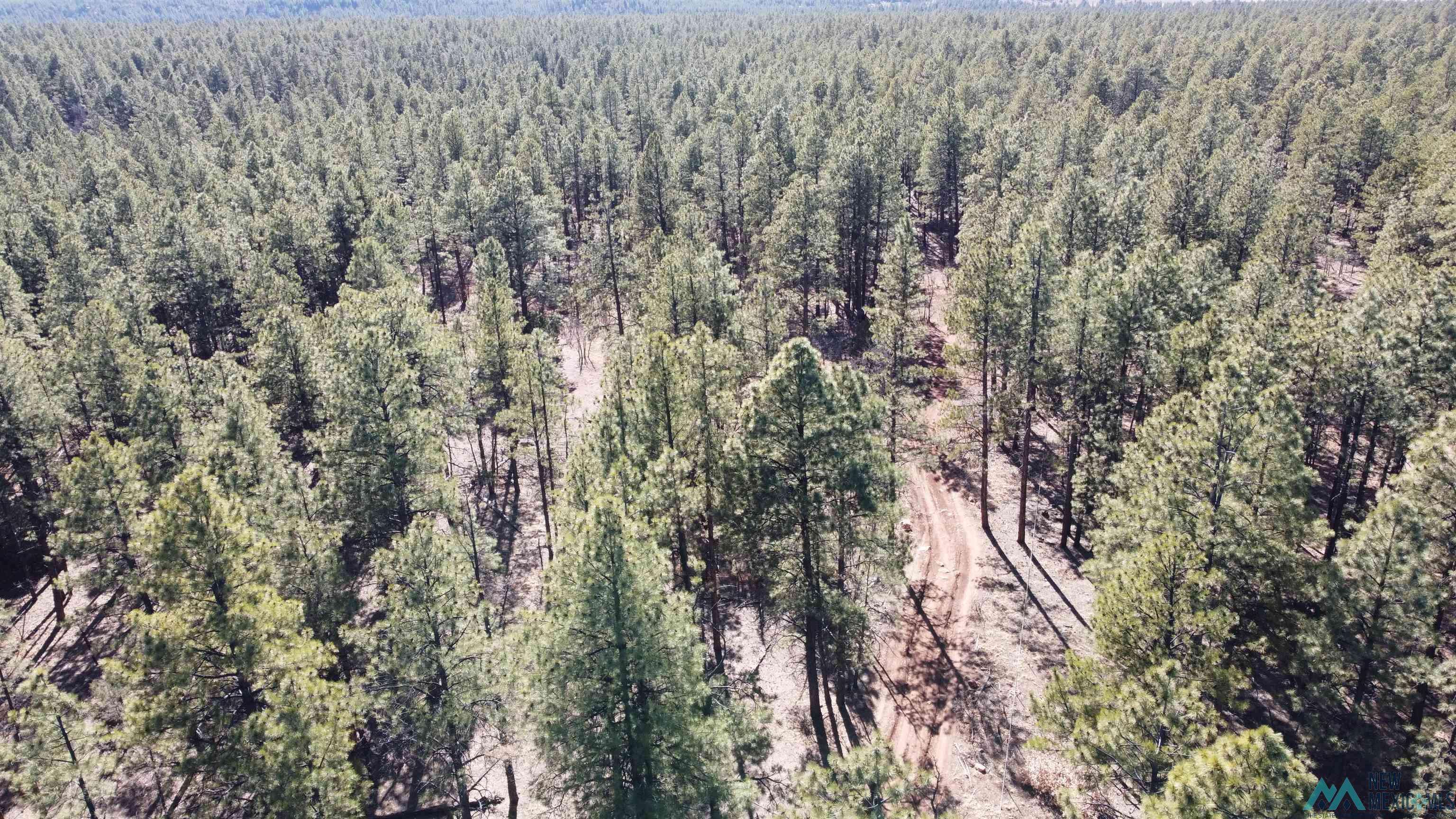 Mcgaffey, NM 87316,Lot 41 McGaffey Pines