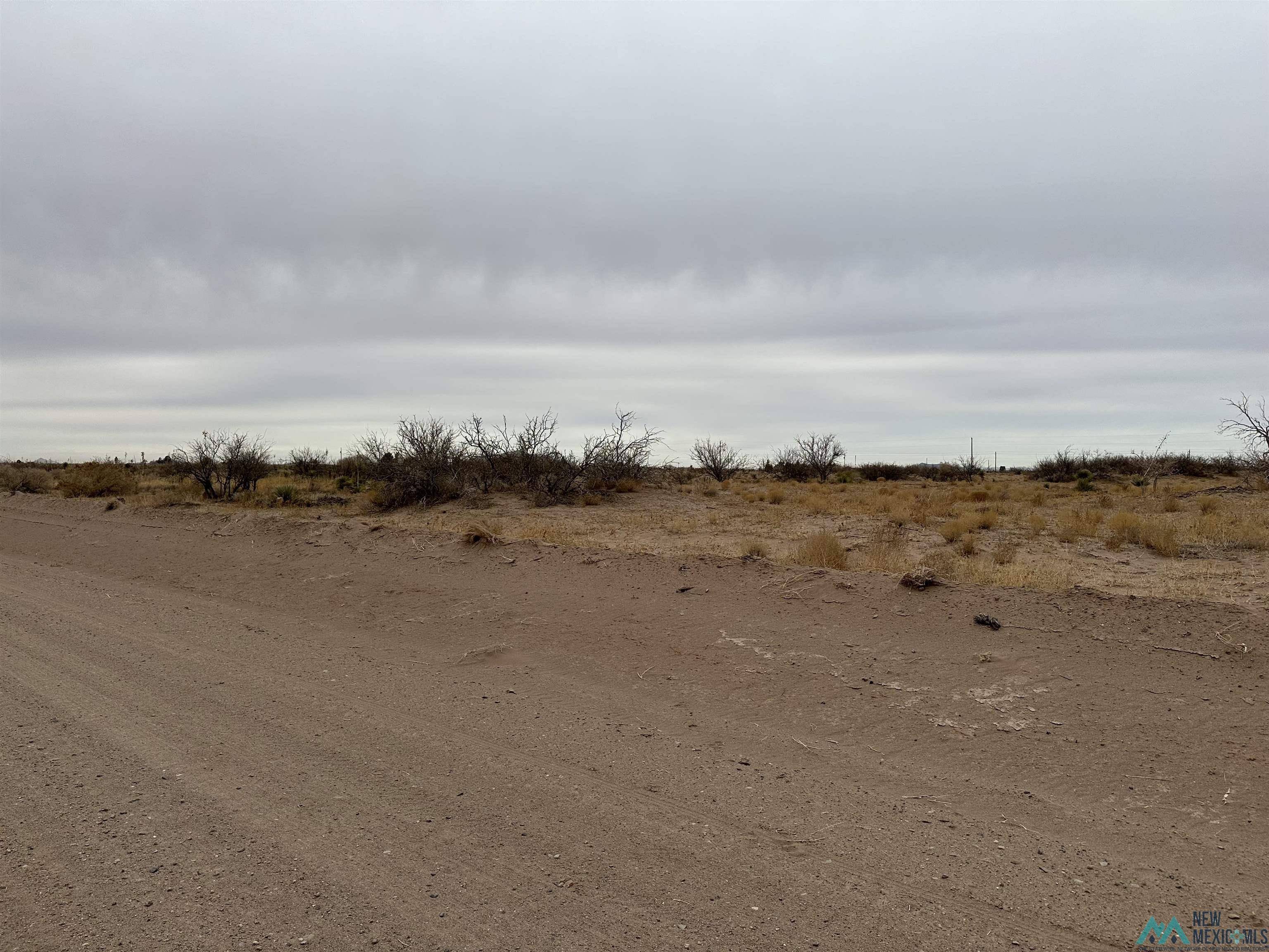 Deming, NM 88030,XXXX Calle Del Monte SW