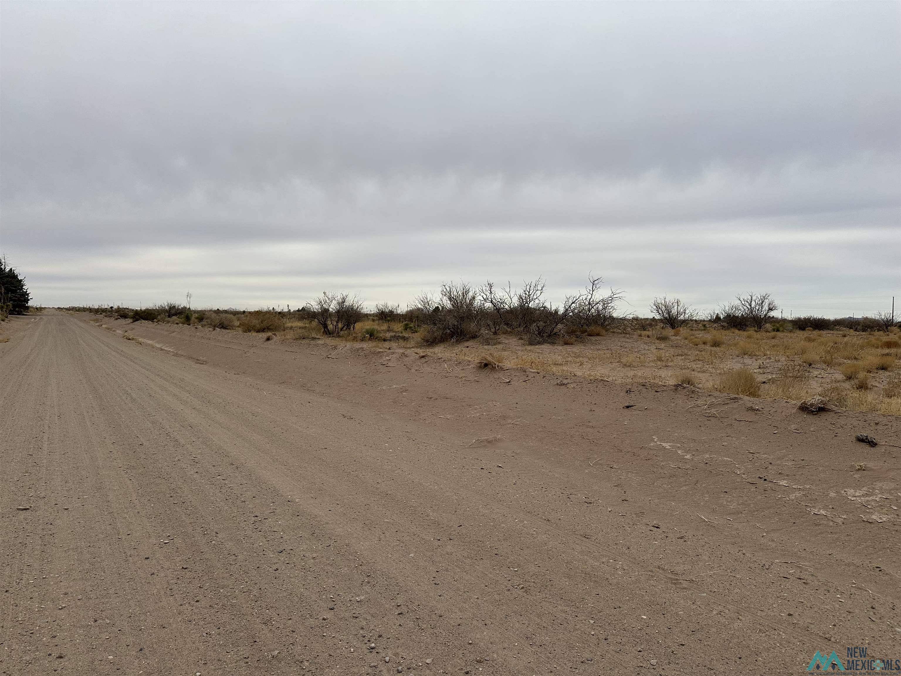 Deming, NM 88030,XXXX Calle Del Monte SW