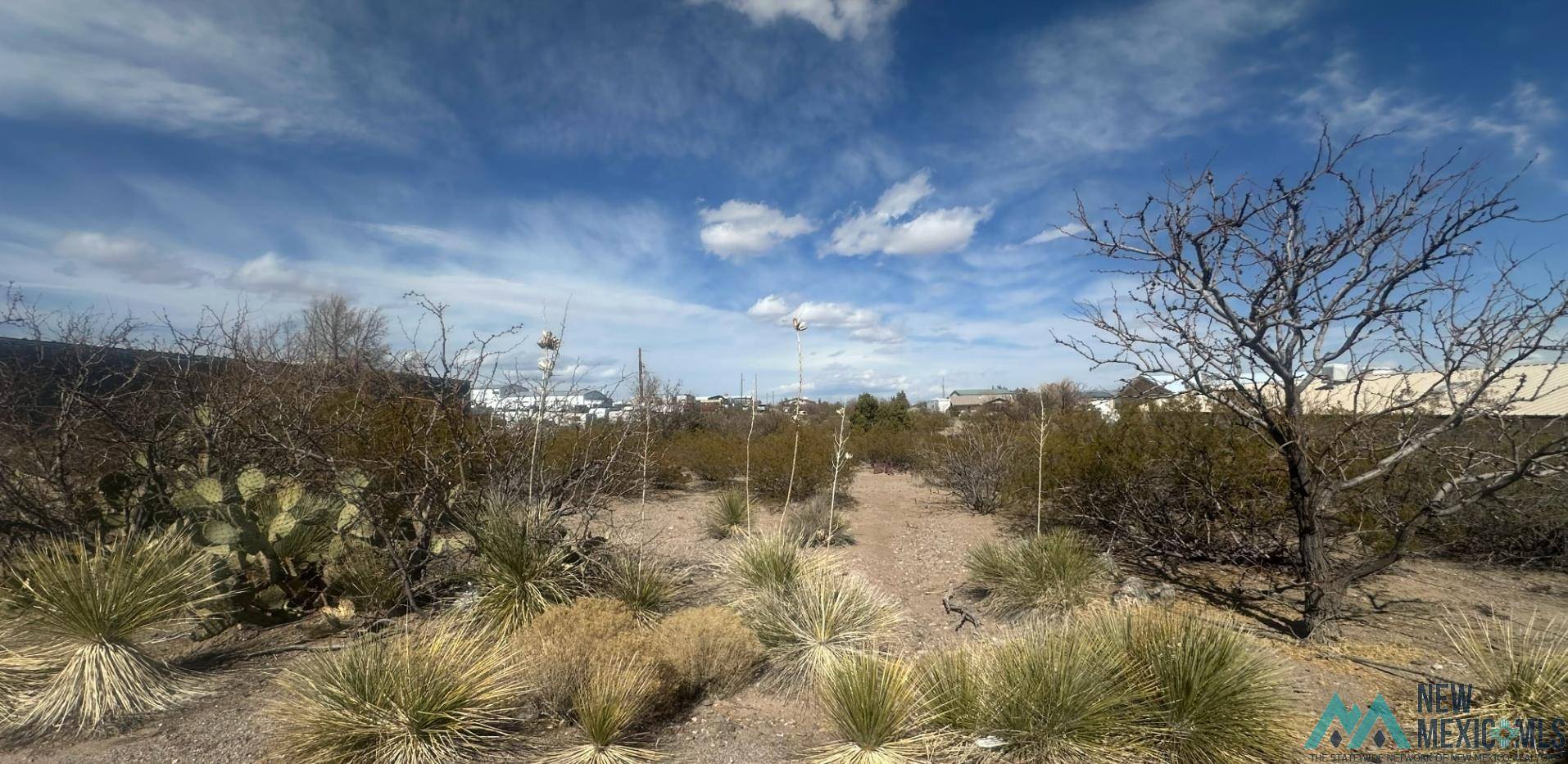 Elephant Butte, NM 87935,719 Erie Avenue