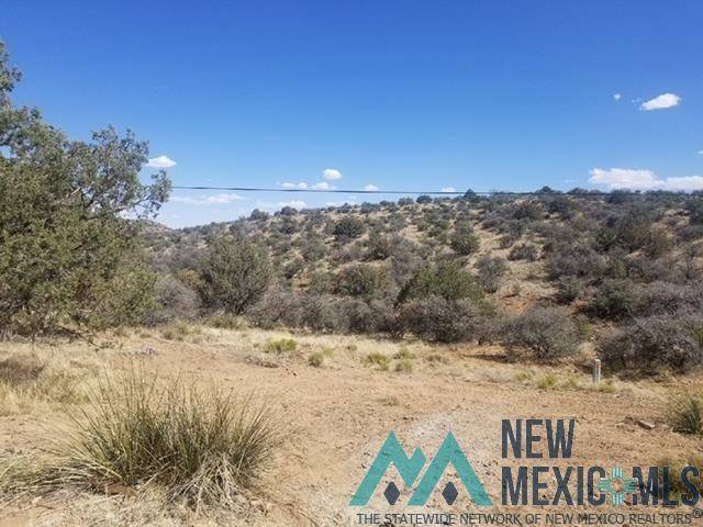 Silver City, NM 88061,2402 Highway 90