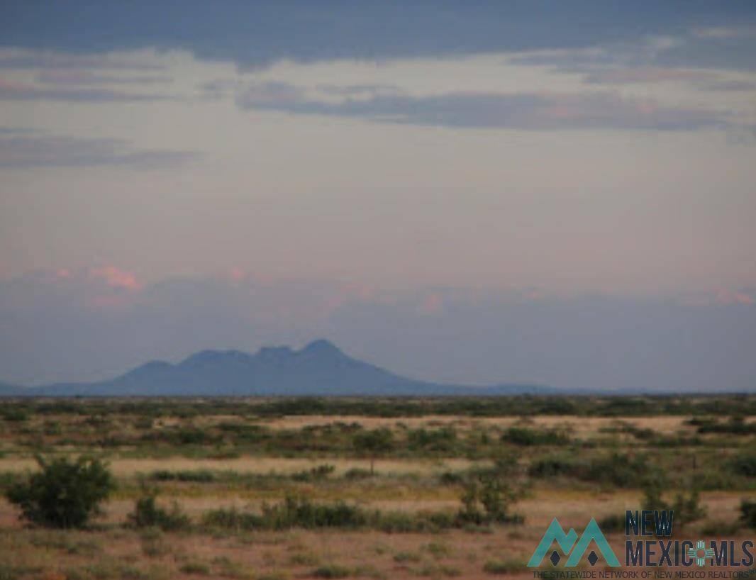 Deming, NM 88030,XXX Country RD SE