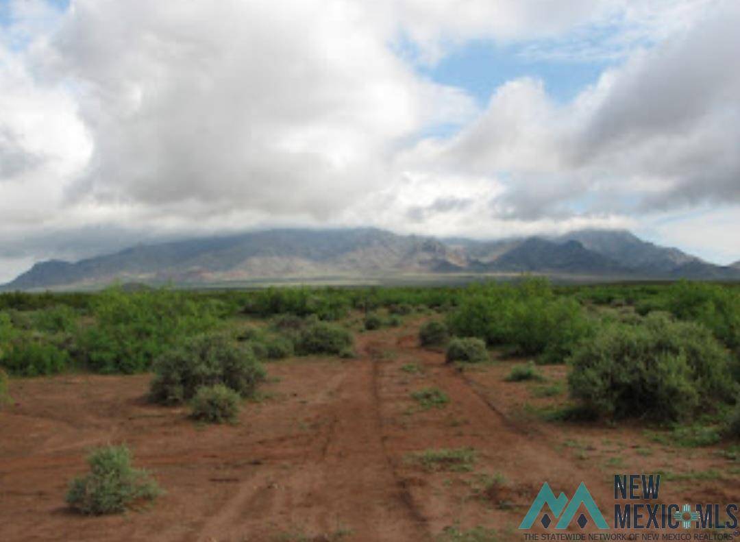 Deming, NM 88030,XXX Country RD SE