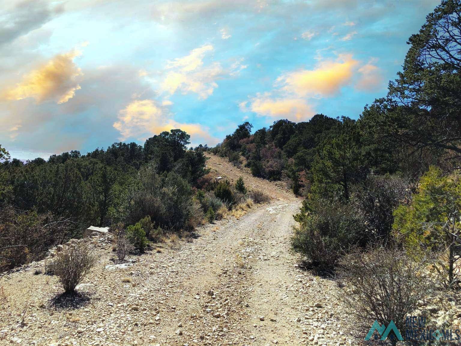 Timberon, NM 88350,0 Harvest Road