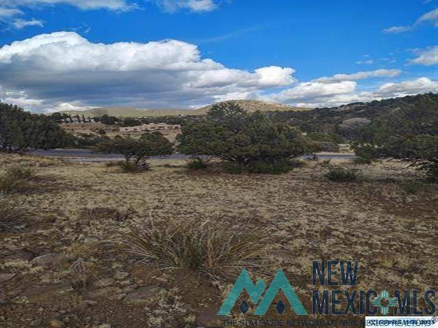 Silver City, NM 88061,Cottonwood Road