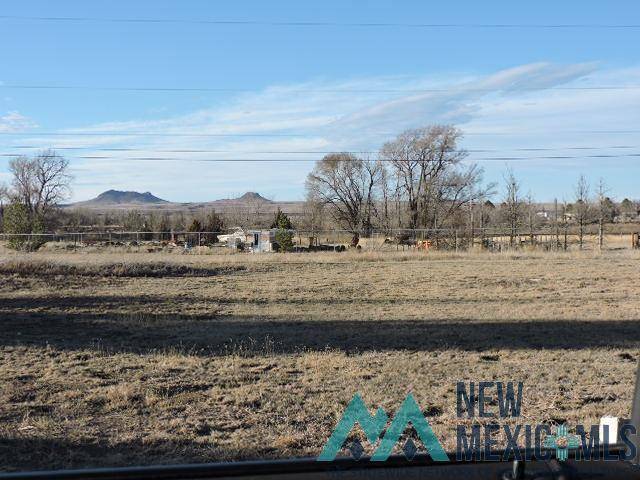 Clayton, NM 88415-0000,88 Santa Fe Drive
