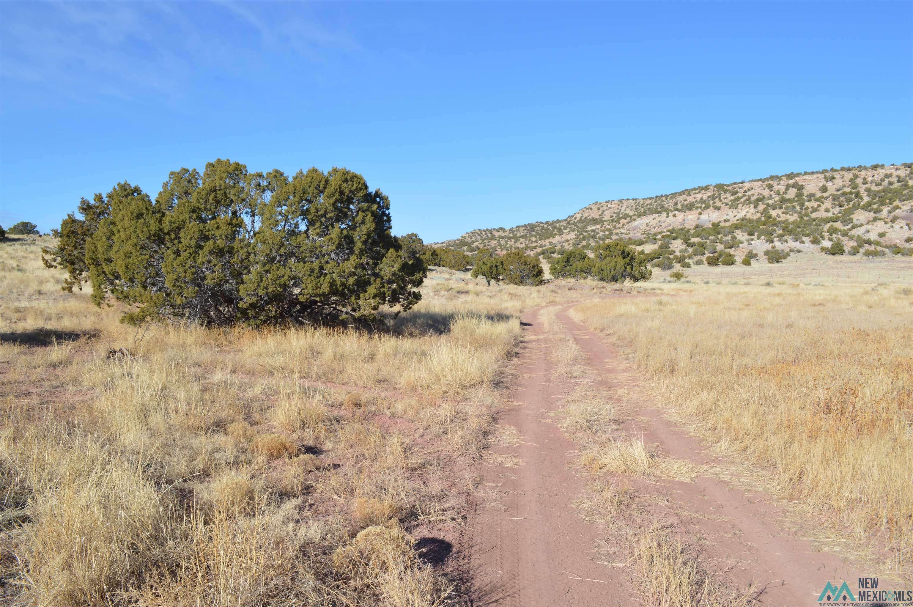 Prewitt, NM 87045,TBD PREWITT Road