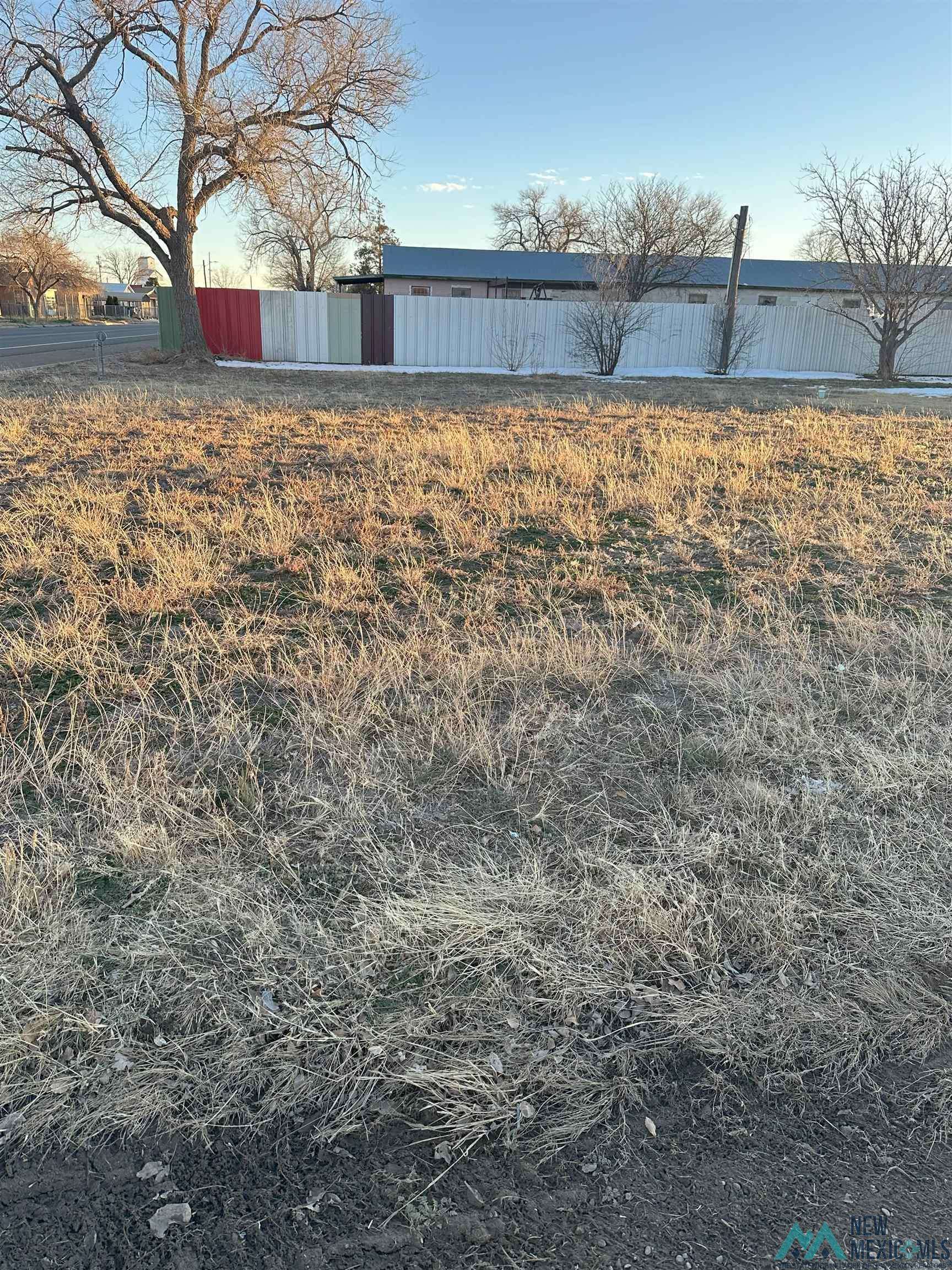 Portales, NM 88130,1123 N Main Street