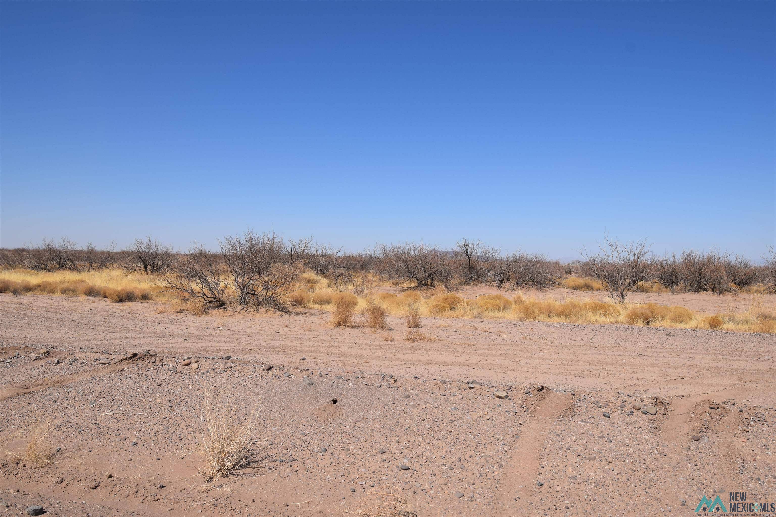 Deming, NM 88030,Alamosa Rd SW Lot 4