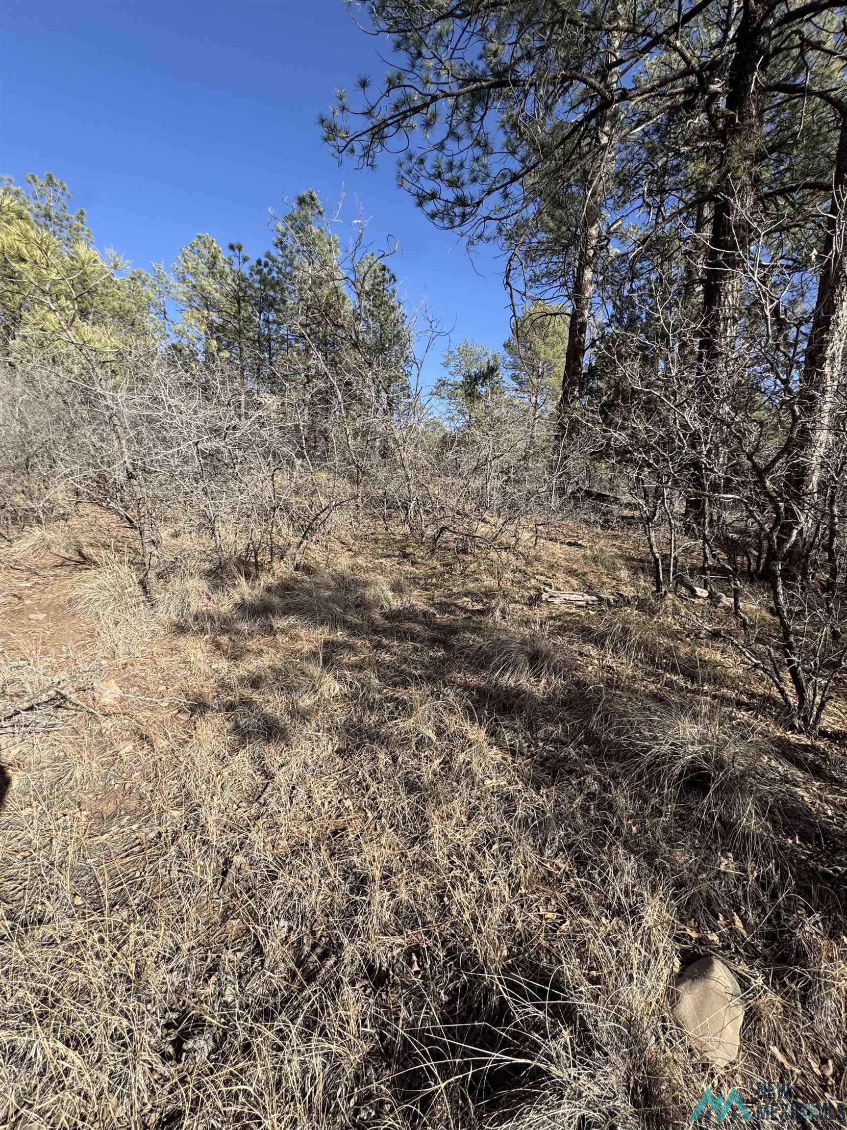 Timberon, NM 88350,52 Oakmont Drive