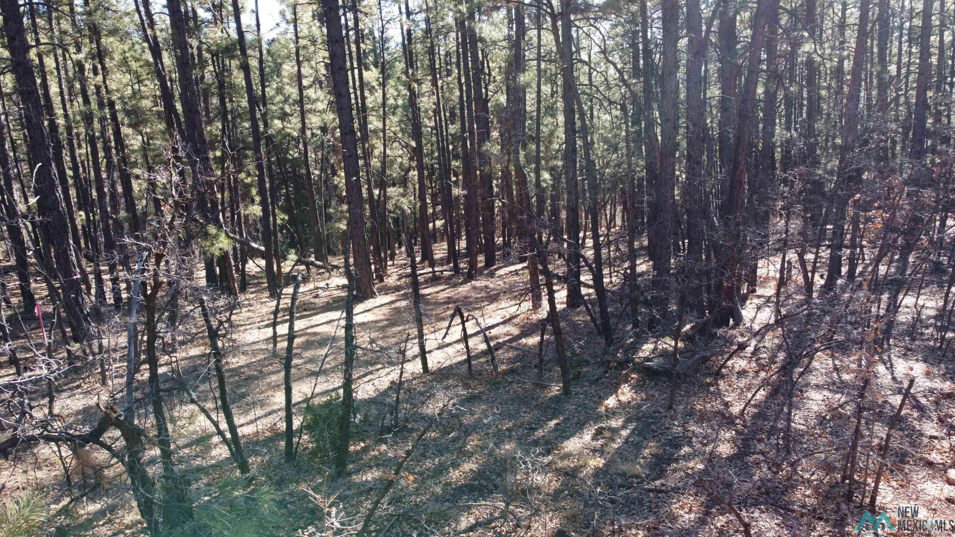 Mcgaffey, NM 87316,Lot 34c McGaffey Pines