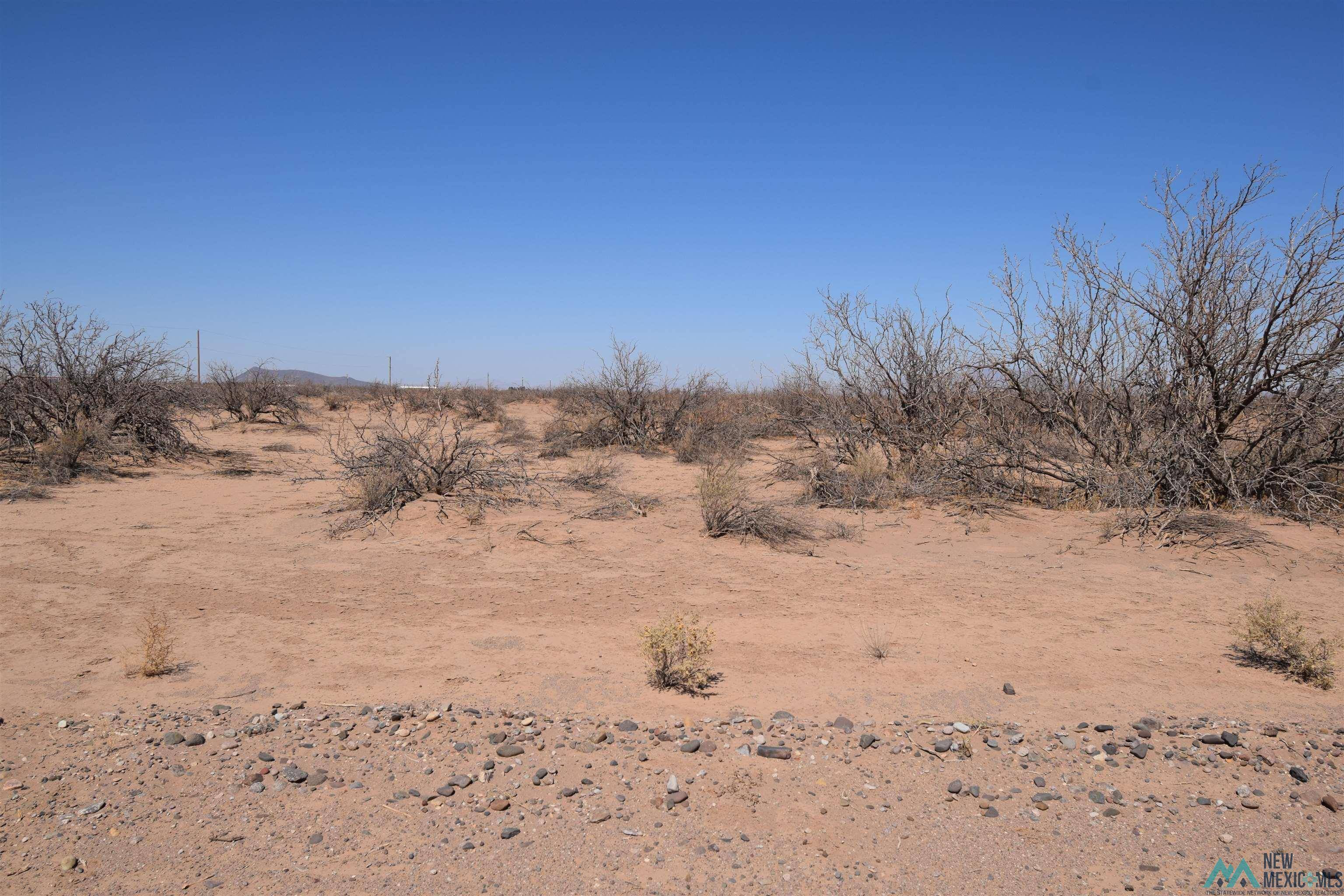 Deming, NM 88030,Bessie Drive Lot 11