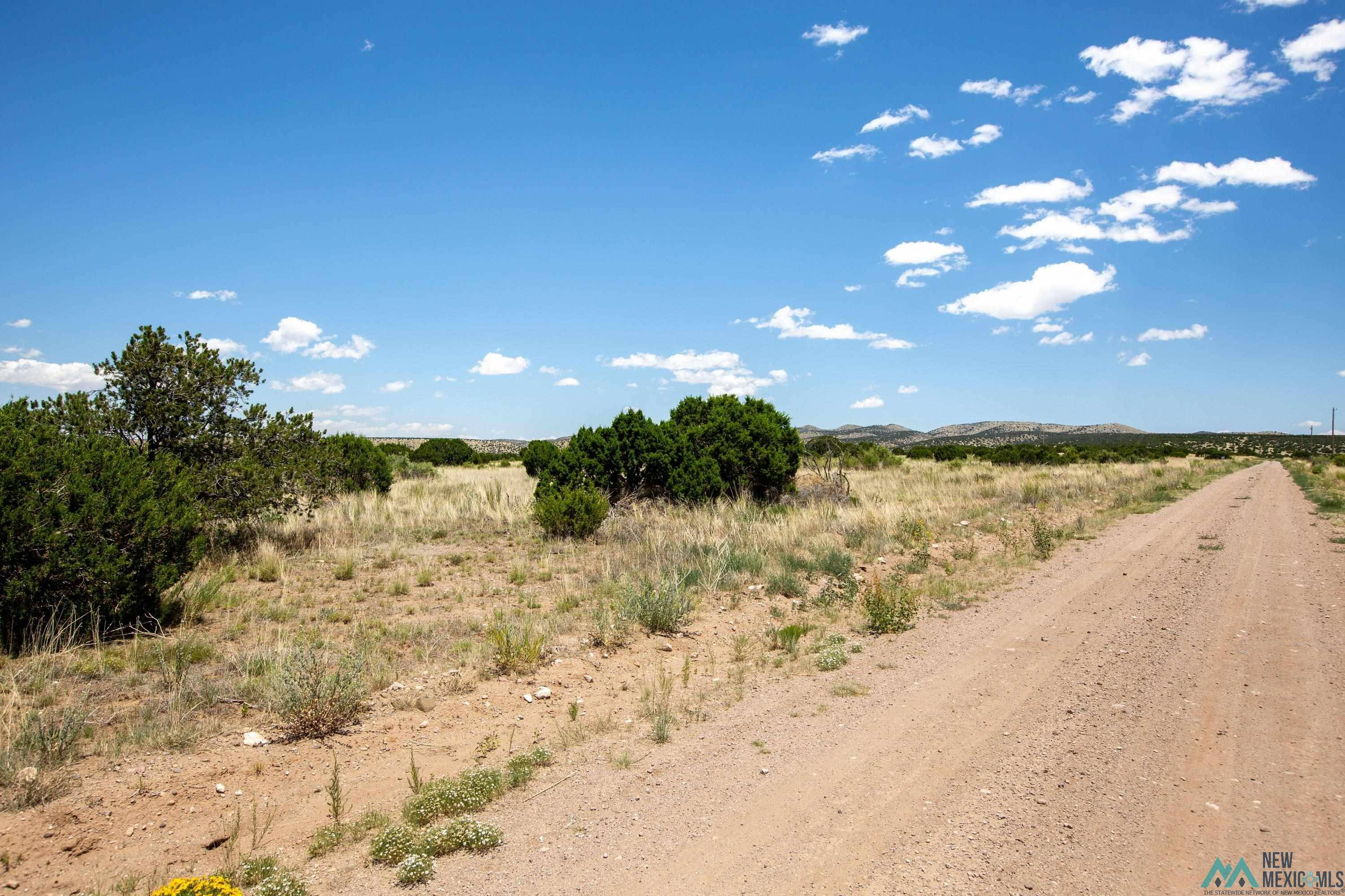 Magdalena, NM 87825,58 Pinon Springs Ranch