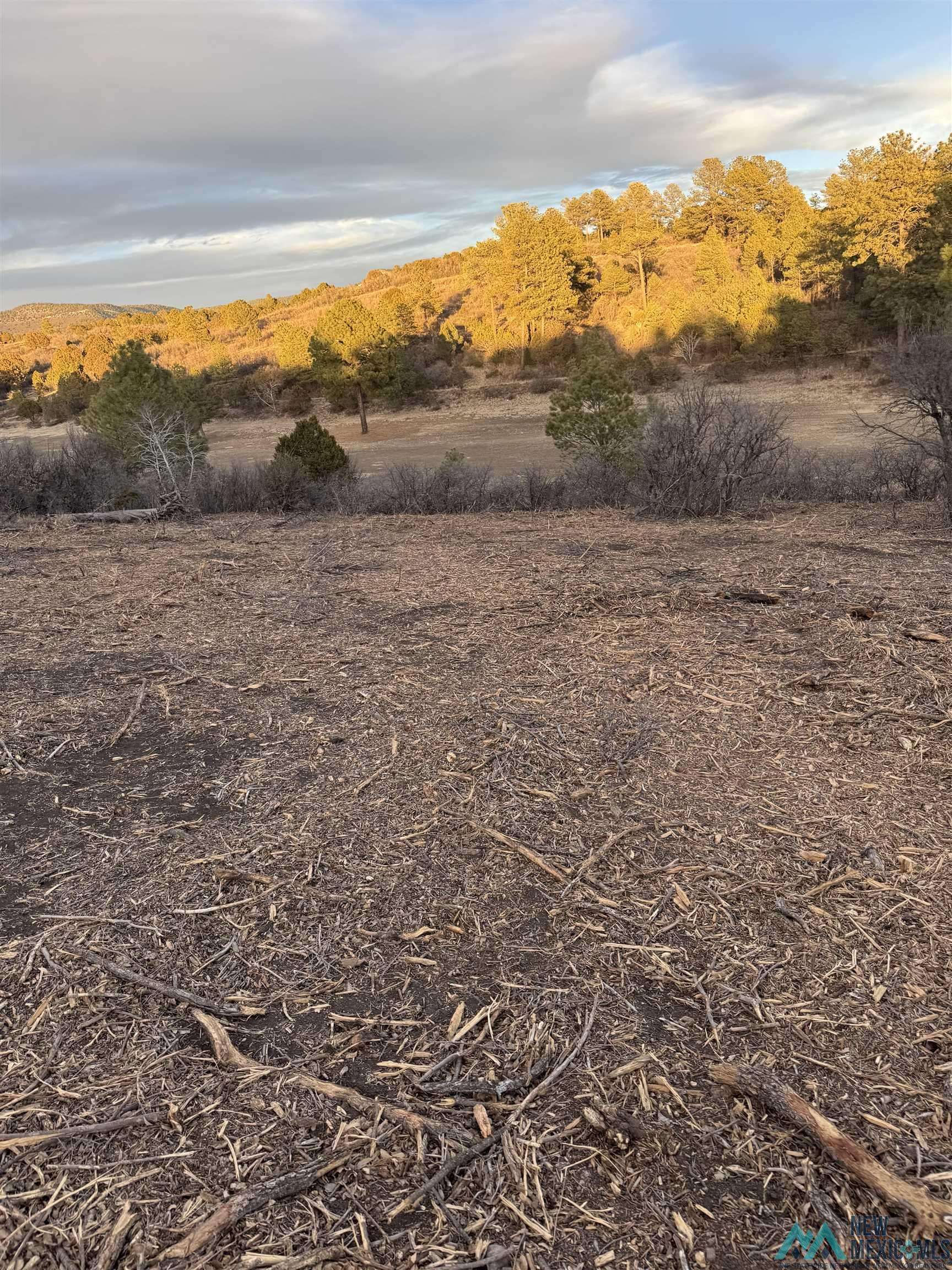 Timberon, NM 88350,161 Eldrado dr Drive