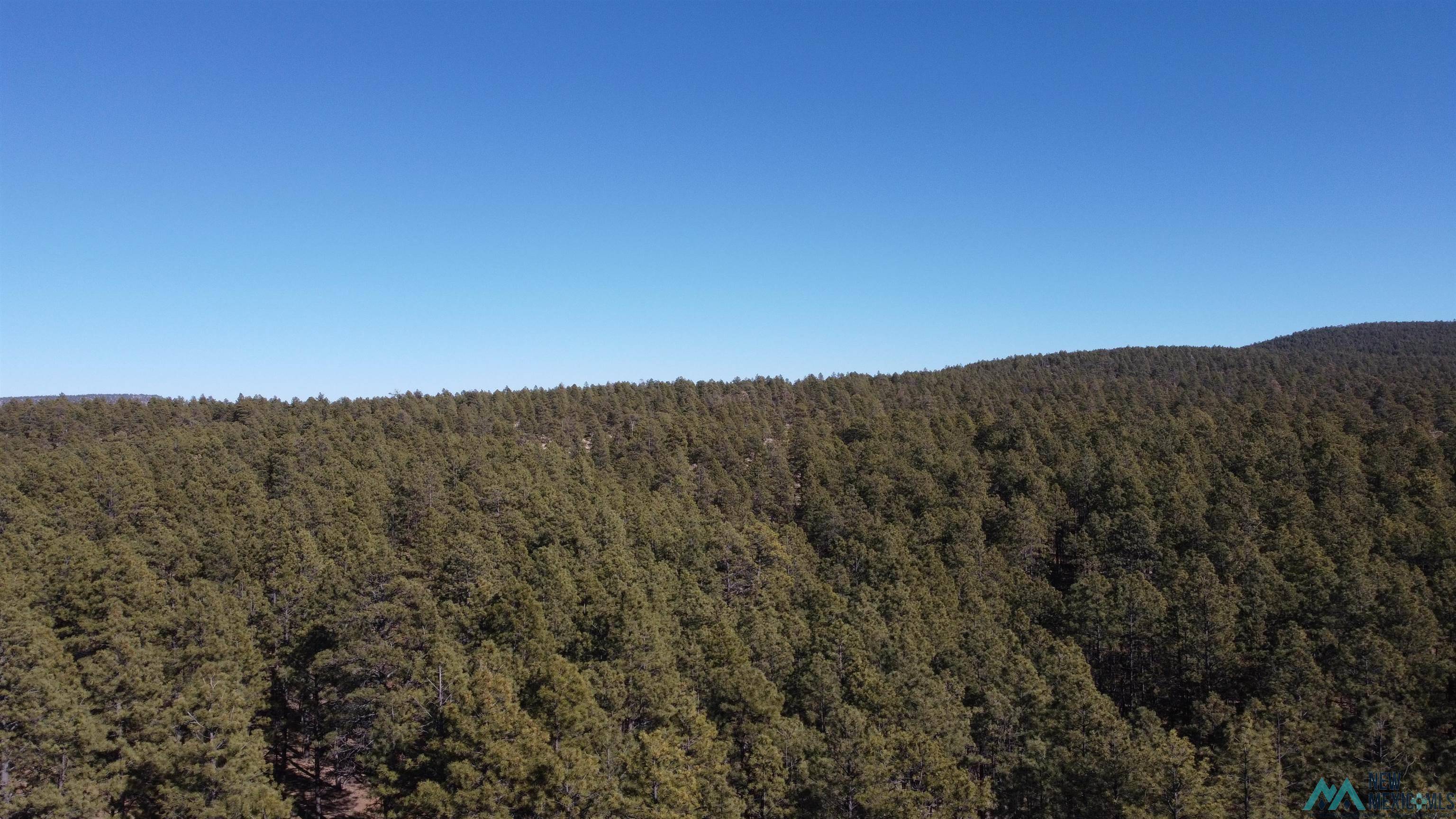 Mcgaffey, NM 87316,Lot 33B McGaffey Pines