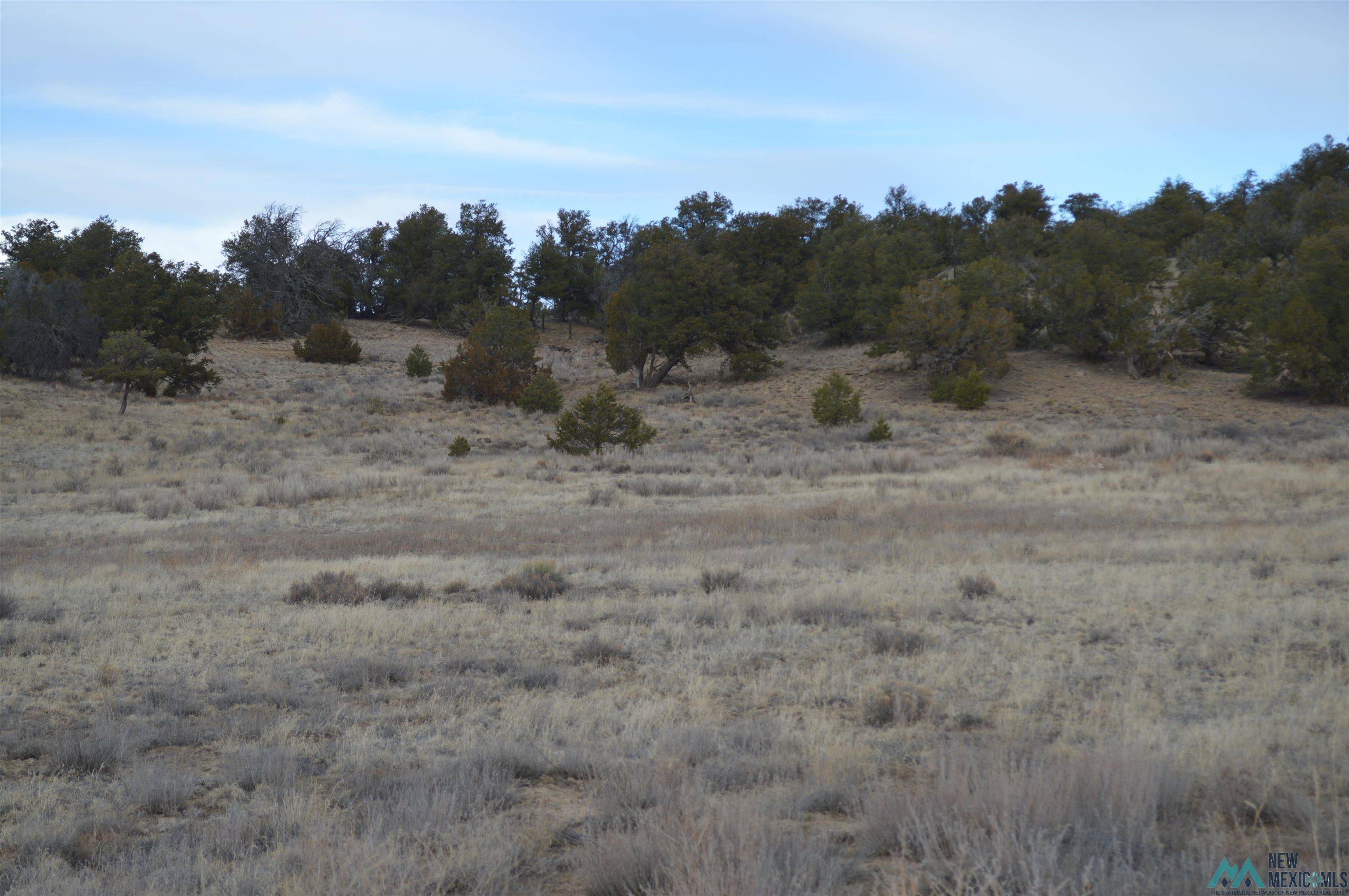 Candy Kitchen, NM 87321,TBD GREAT WHITE FATHER Road